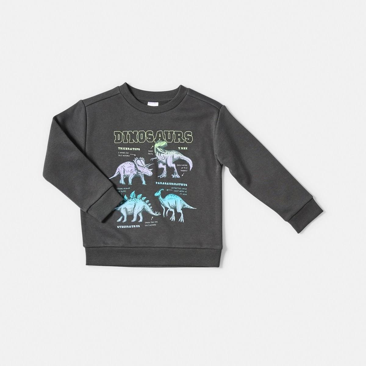 7 Print Crew Neck Sweatshirt Gry Skdino, 7 of 8