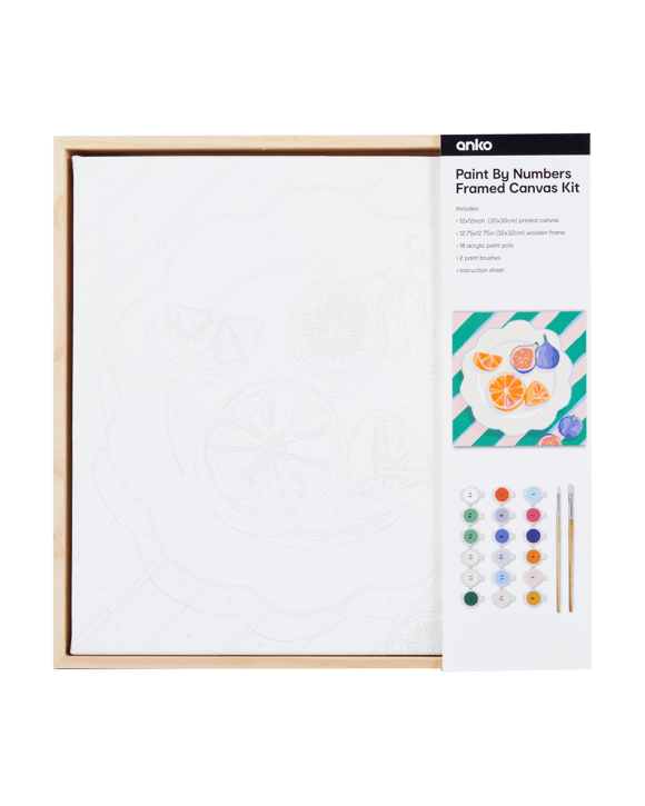 Paint By Numbers Framed Canvas Kit