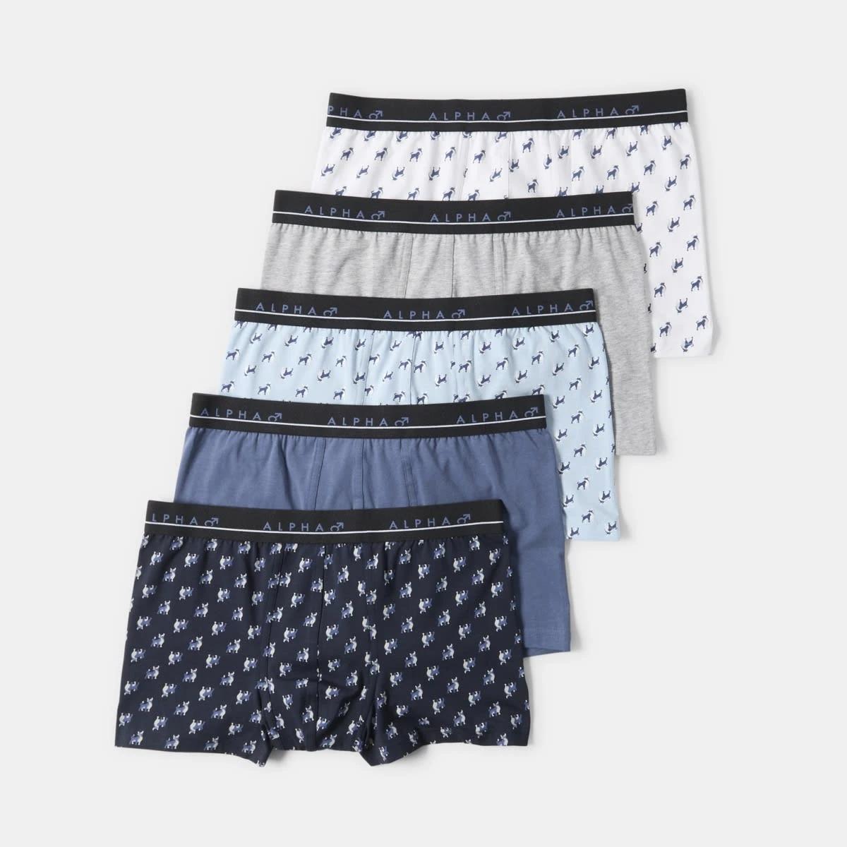 1 5 Pack Trunks BULL ICONS, 1 of 10