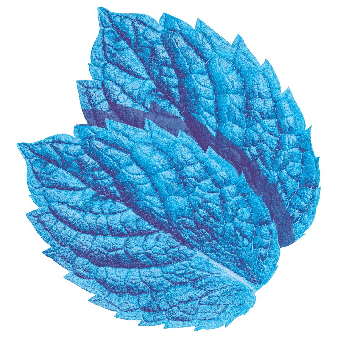 5 14 Piece Wrigley's Extra Peppermint Chewing Gum 27g, 5 of 5