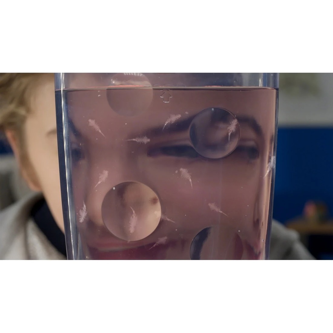 8 Sea Monkeys Ocean Zoo Playset - Assorted, 8 of 9