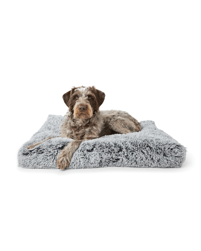 Self-Warming Comfort Bed - L