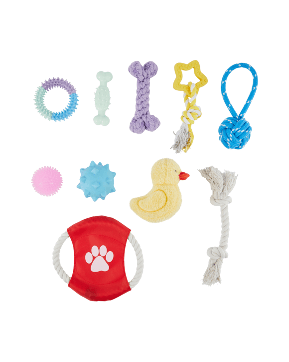 10 Pack Pet Toy Summer
