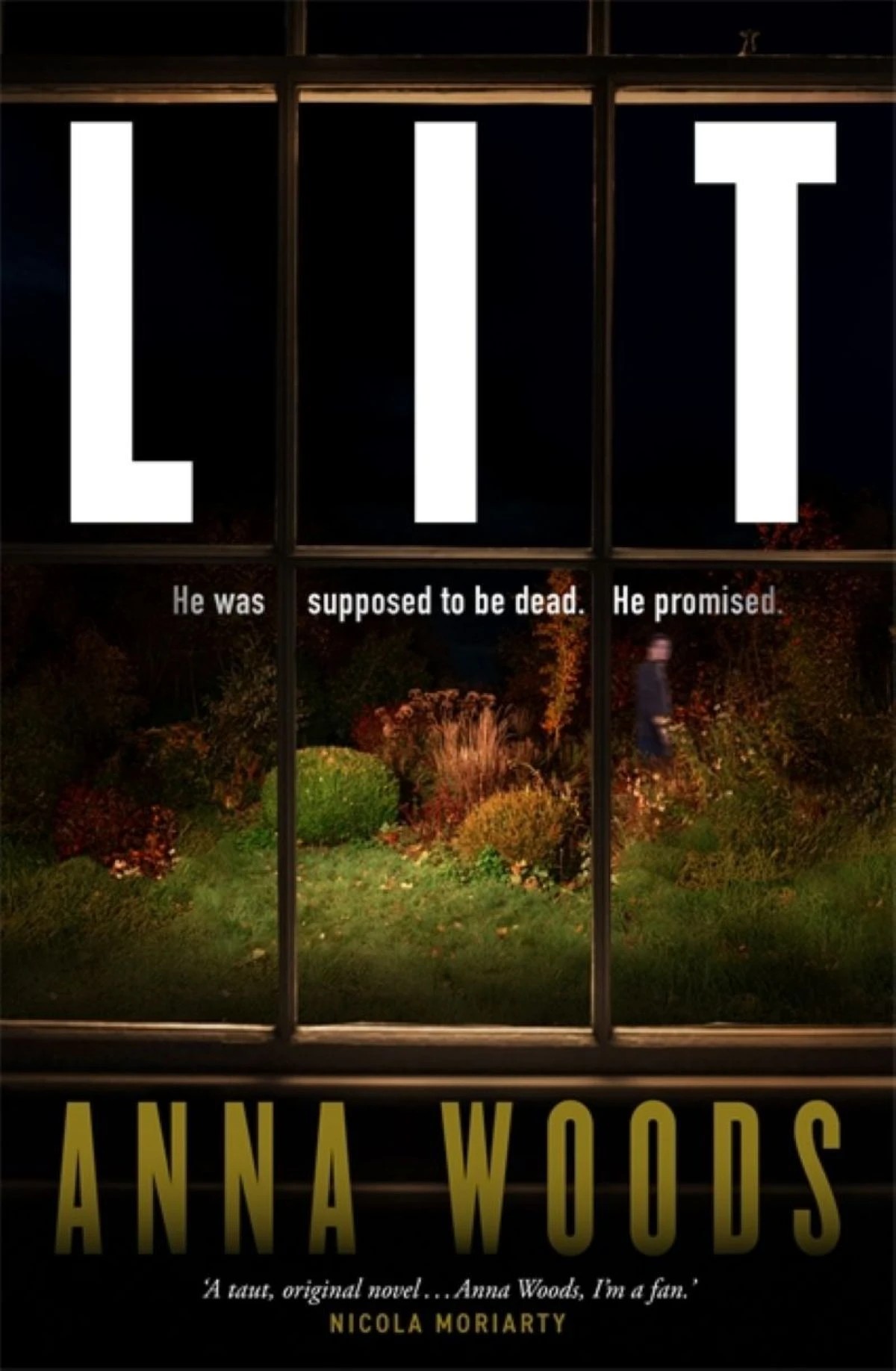 1 Lit by Anna Woods - Book, 1 of 1