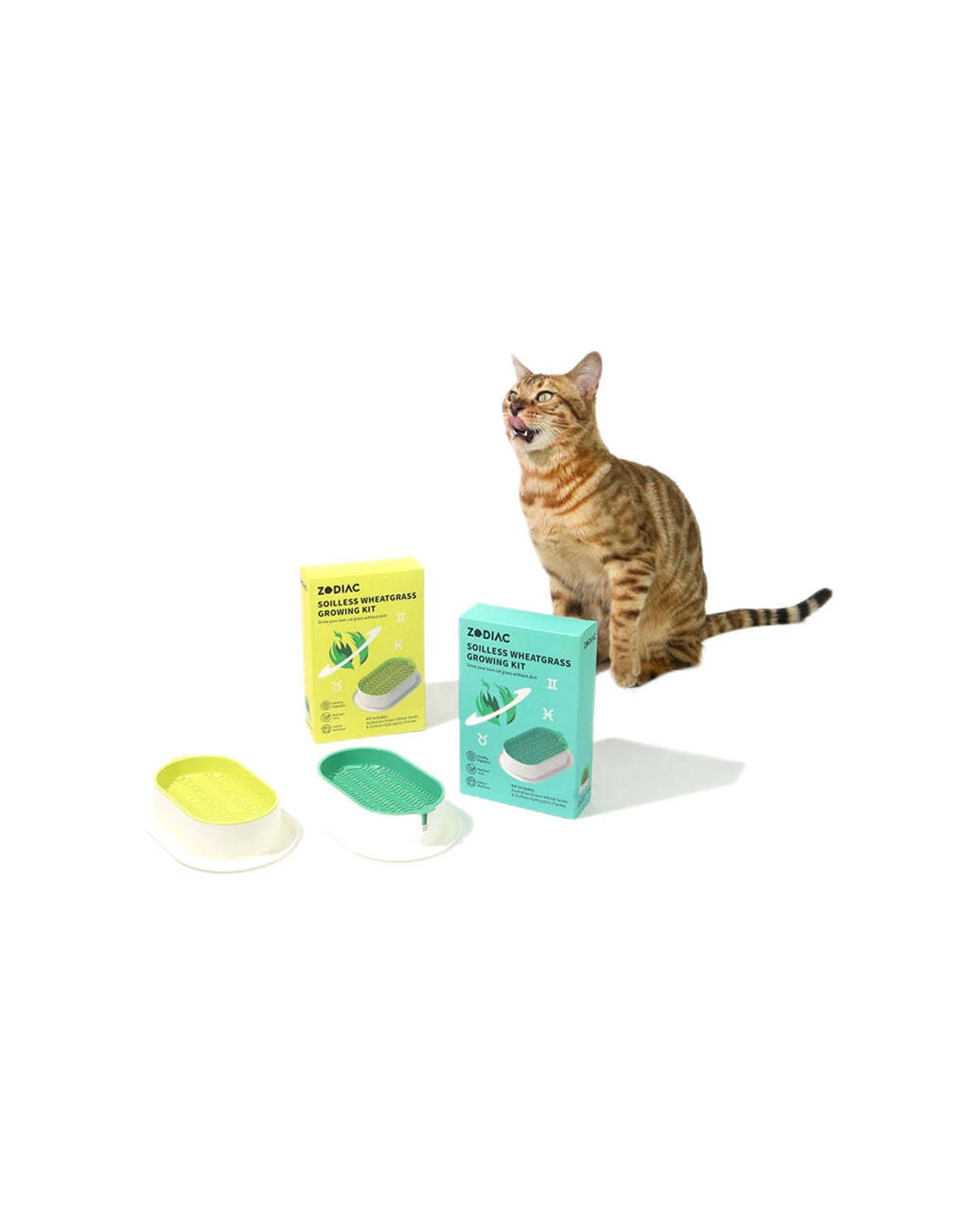 3 Zodiac Soilless Wheatgrass Growing Kit Cat Feeding Indoor Wellness Nutrient - Yellow, 3 of 4