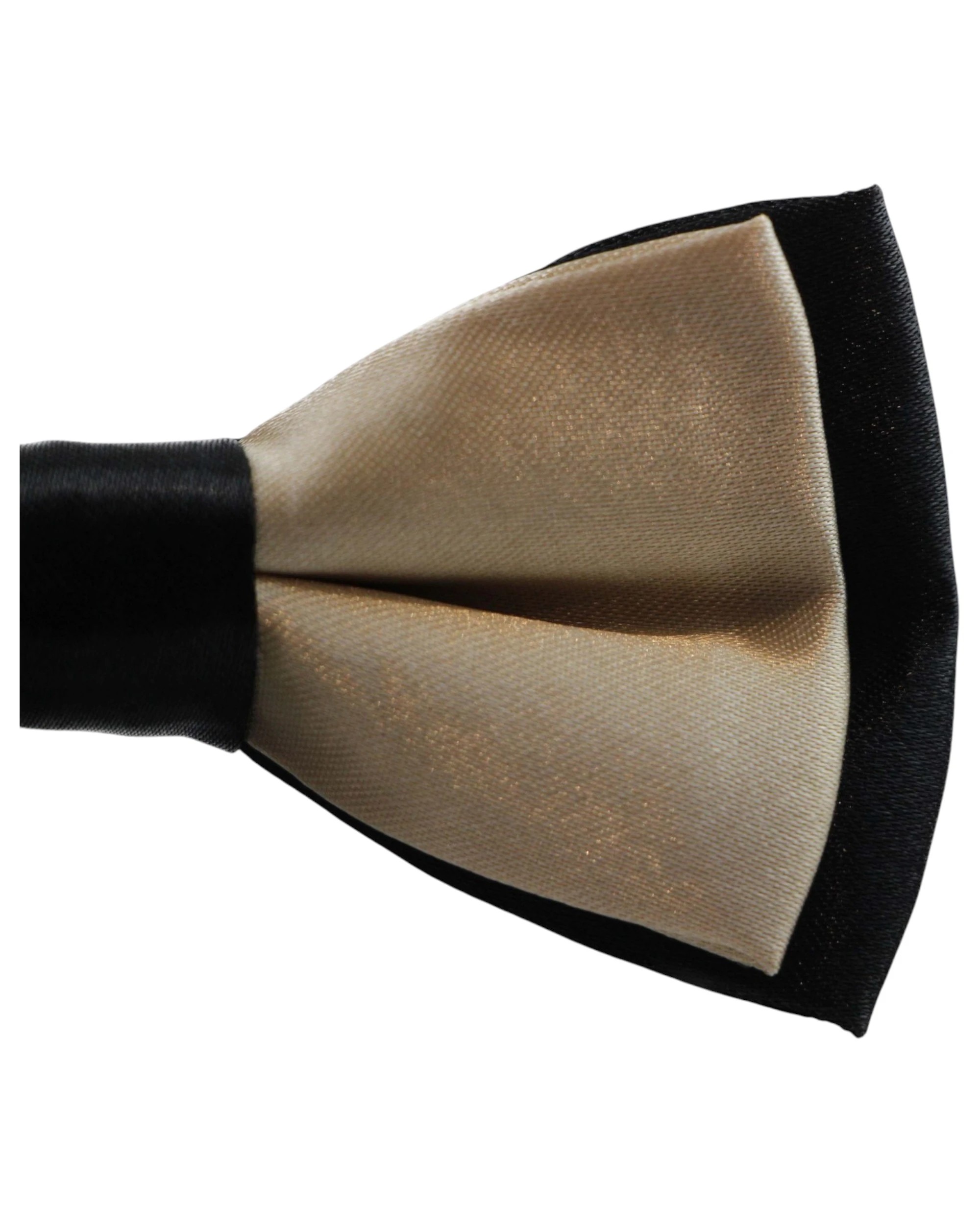 3 Zasel Boys Champagne Two Tone Layer Bow Tie - Multi, 3 of 3
