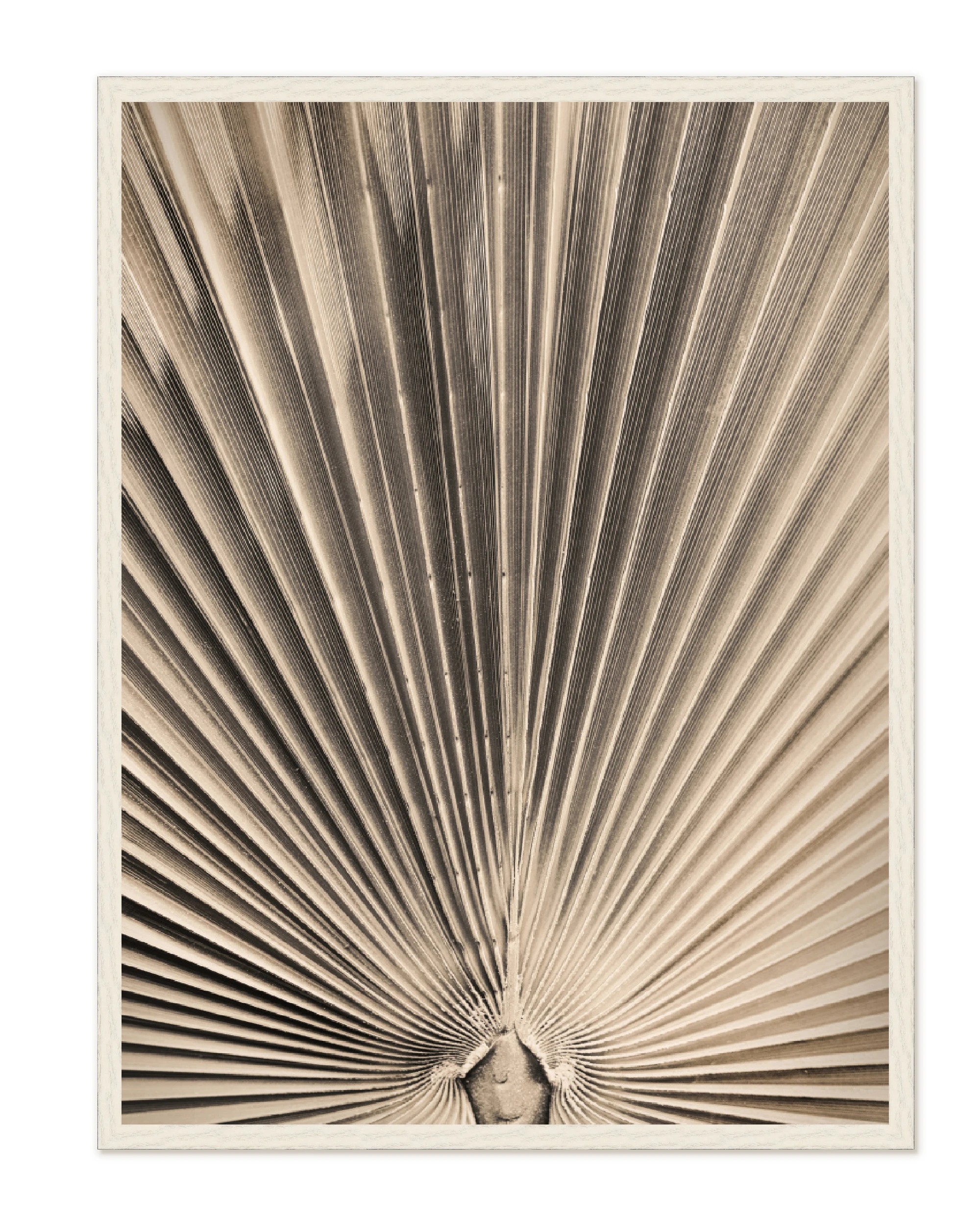 The Wall Art Warehouse - Radiant Palm Structure - Framed Canvas ...