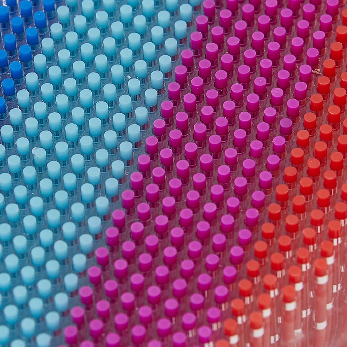 8 Rainbow Pinart, 8 of 10