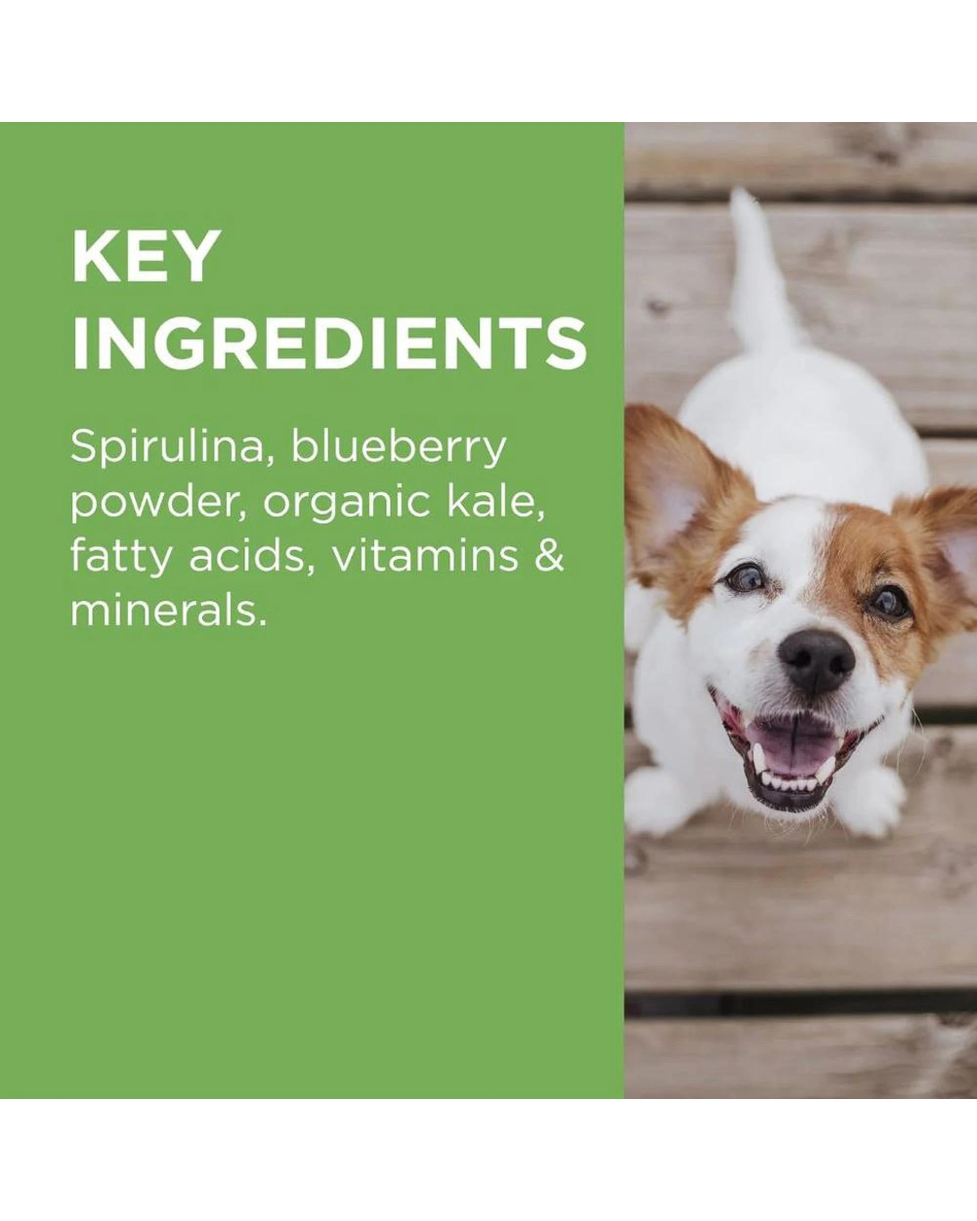 8 Paw Wellness And Vitality Multivitamin Dog 60 Chews, 8 of 8