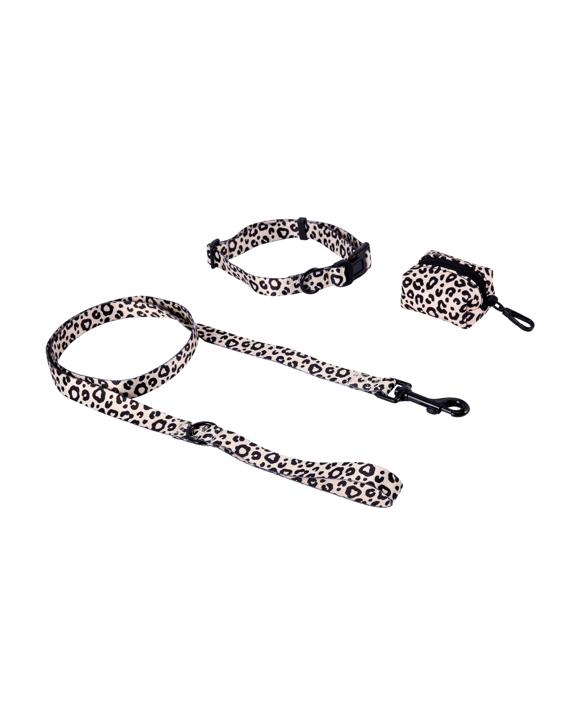 Leopard Collar Walking Set - Medium