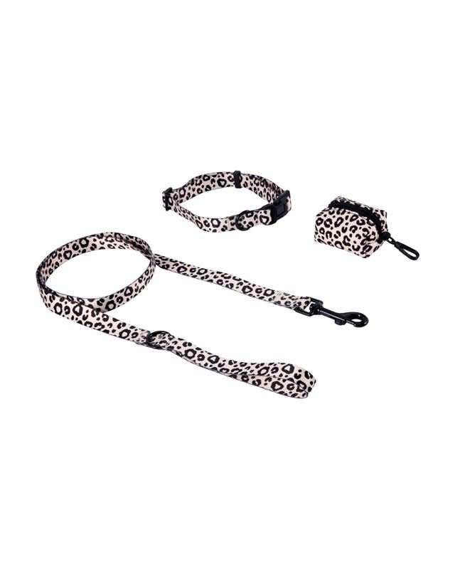 Leopard Collar Walking Set - Me