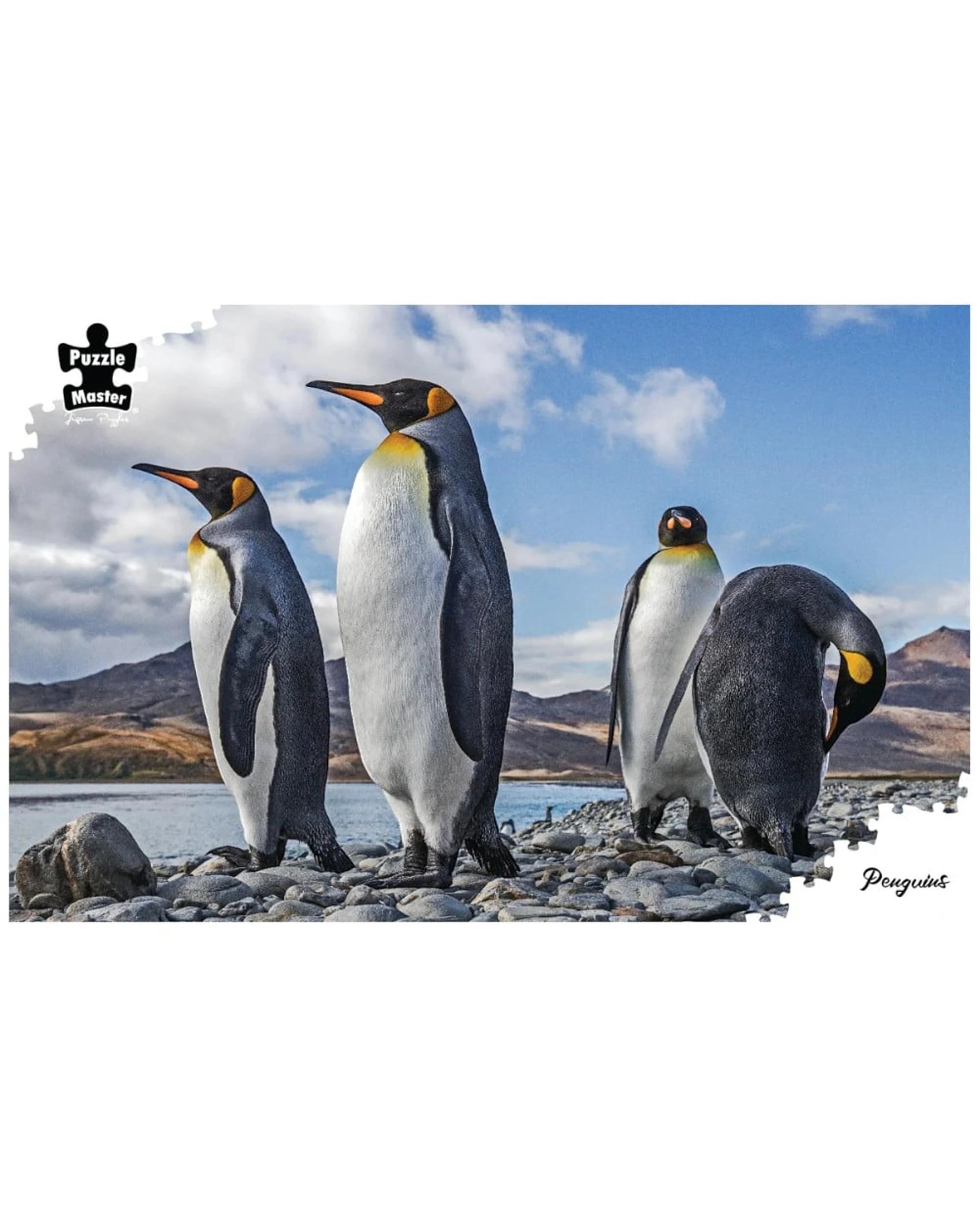 2 Puzzle Master Penguins 1000 Piece Jigsaw Puzzle, 2 of 3