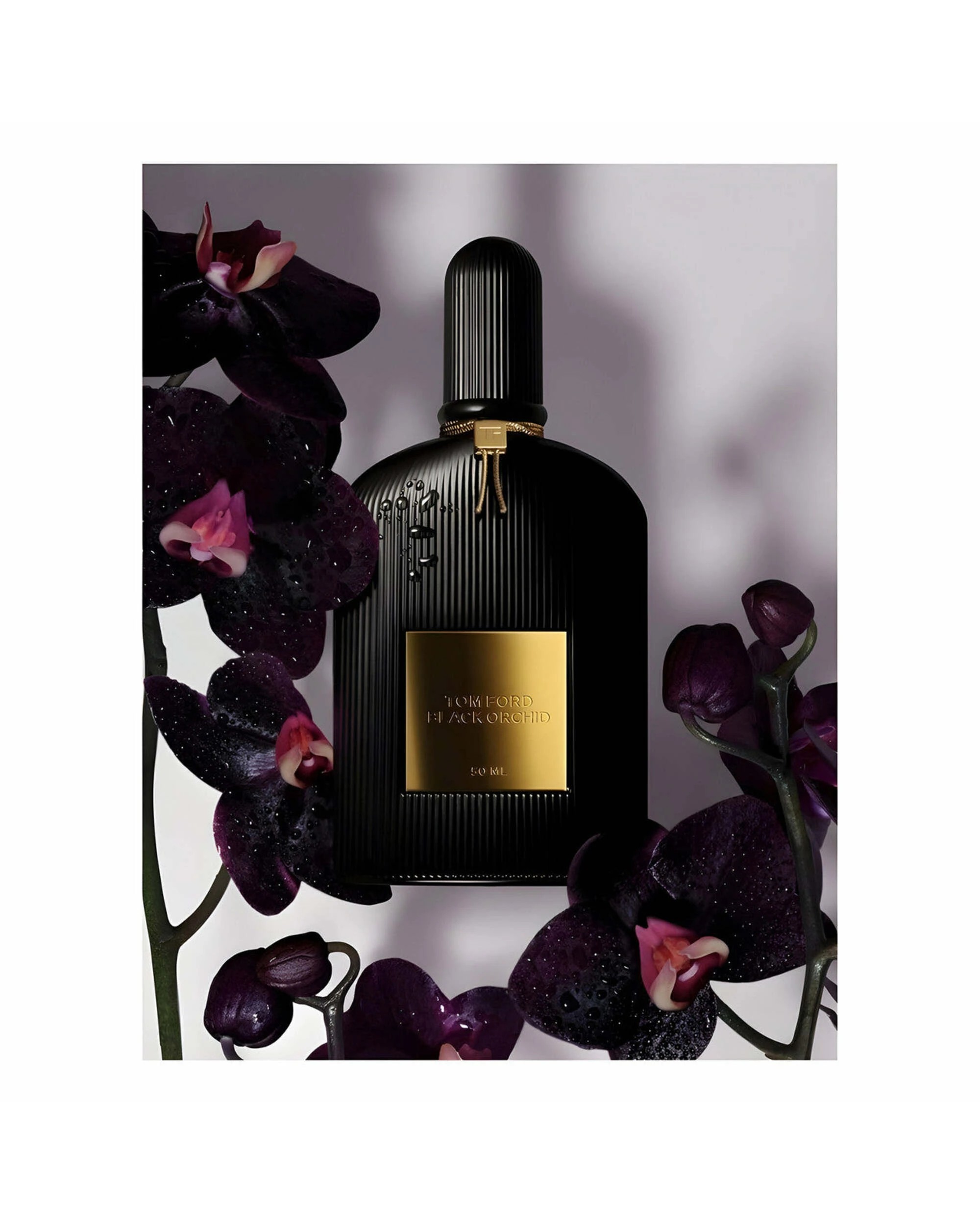 2 Tom Ford Black Orchid 100ml EDP, 2 of 4