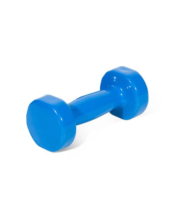 BodyWorx Vinyl Dipped Weighted Dumbbell 2kg Home Gym Workout Set Strength Training - Assorted