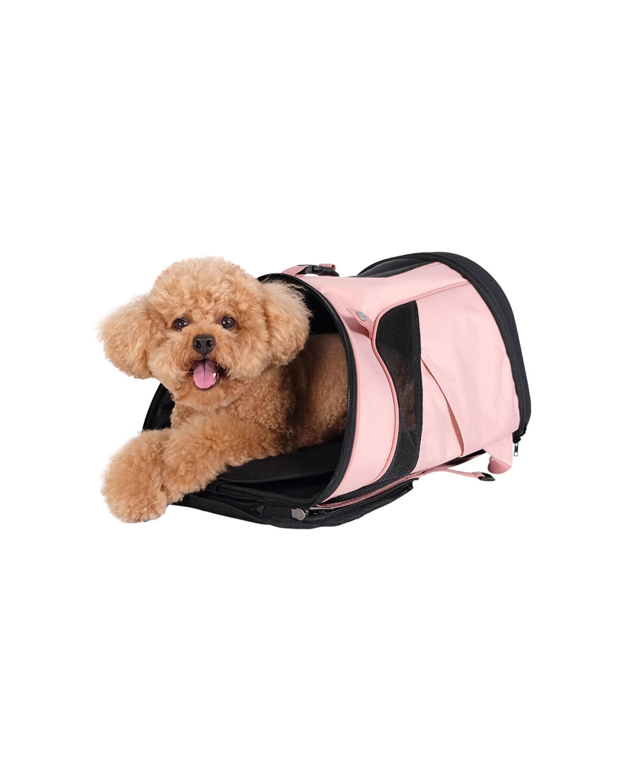 5 Ibiyaya Ultralight Travel Pet Backpack Carrier Mesh Windows Foldable Safety Lead - Pink, 5 of 6