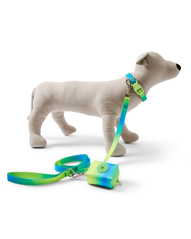Pet Ombre Walking Set - S