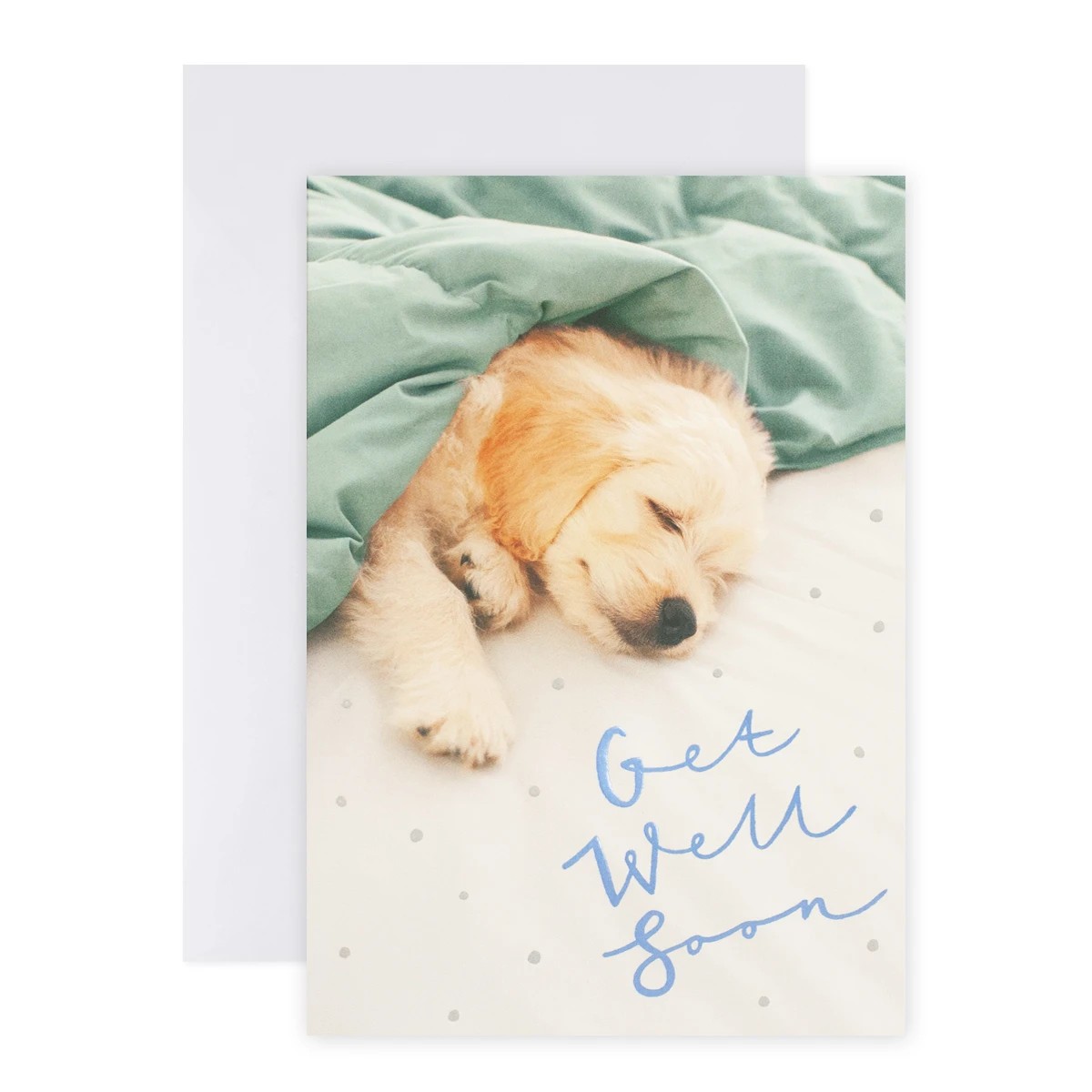 1 Connections from Hallmark Get Well Soon Greeting Card - Sleeping Puppy, 1 of 2