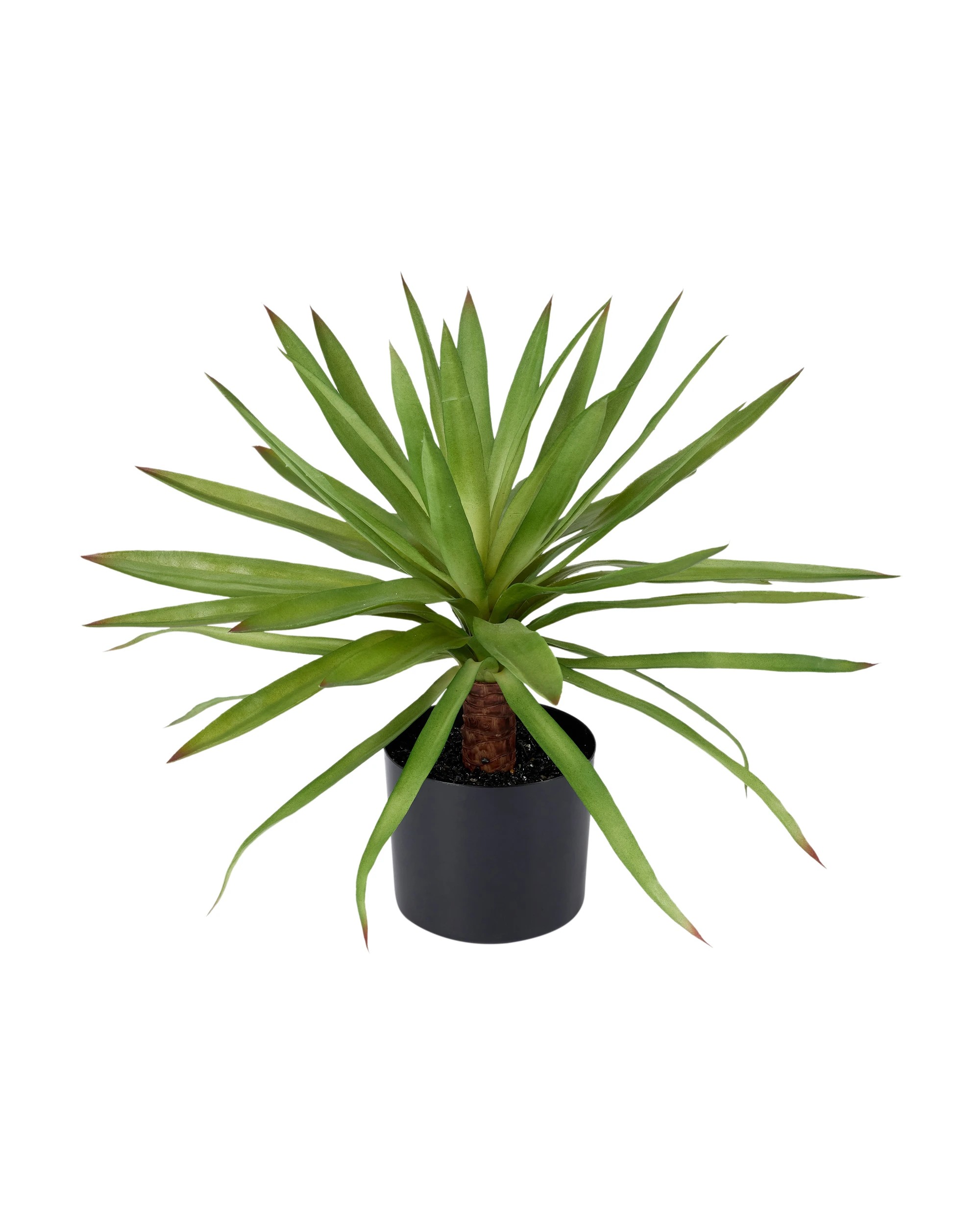 1 Artificial Dracaena Plant in Pot, 1 of 3