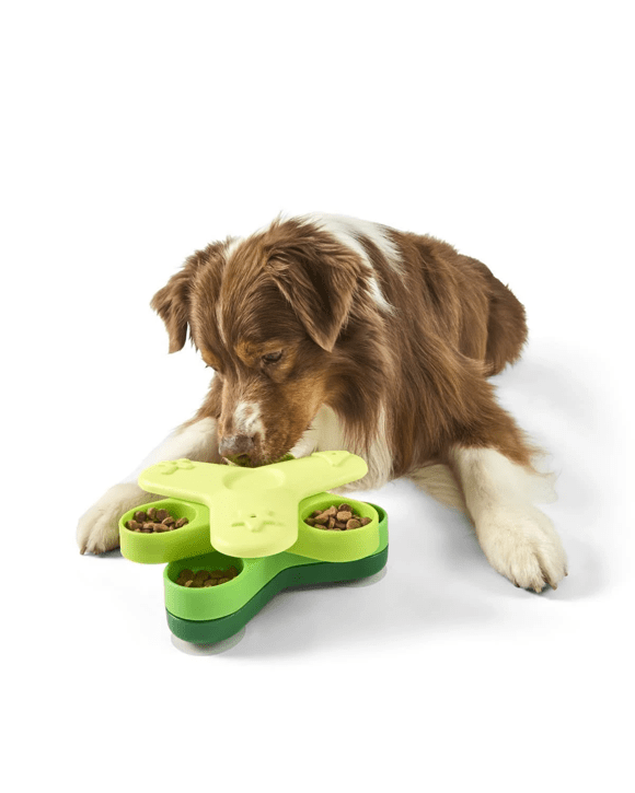 Pet IQ Toy Dispenser