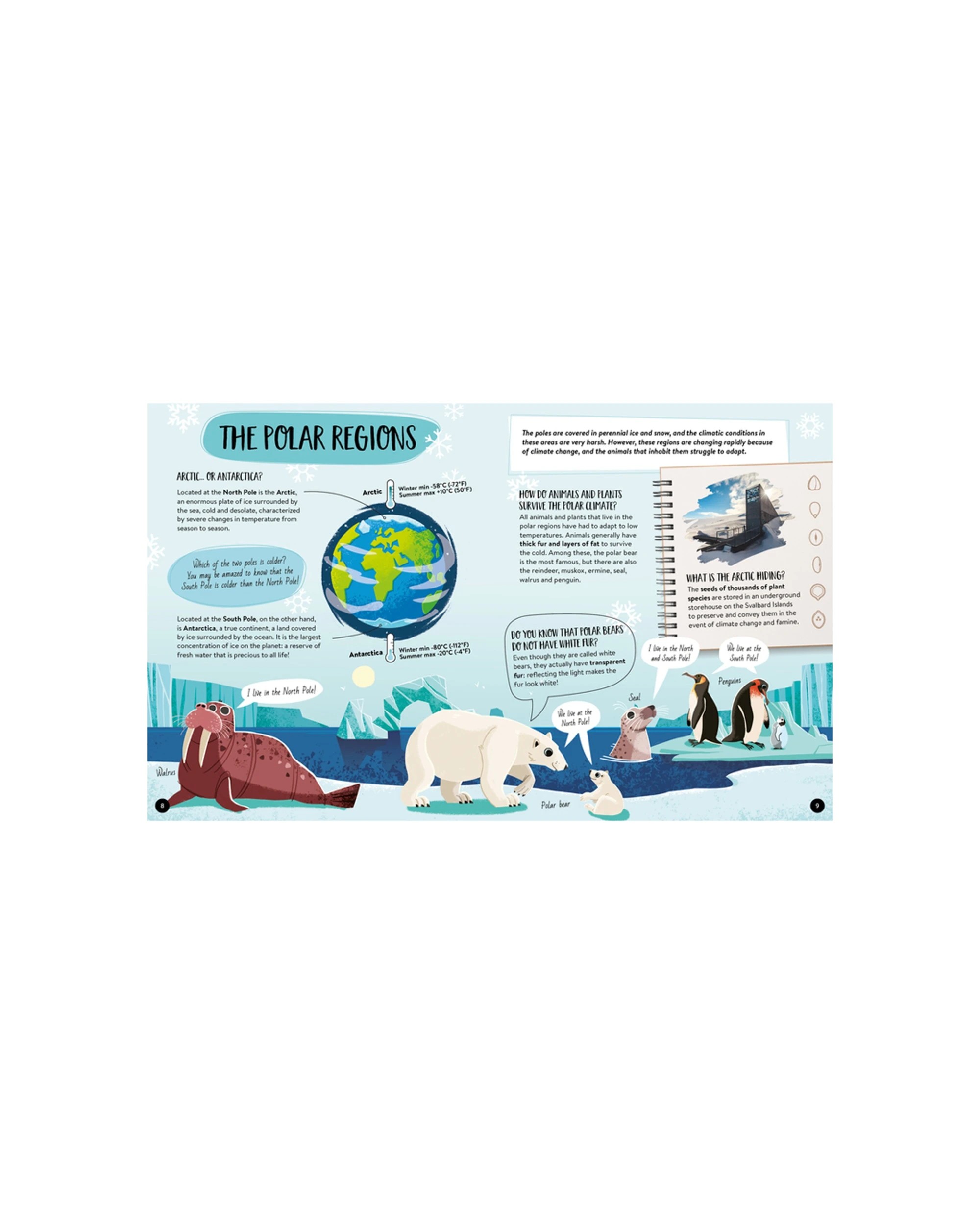 2 Sassi Book & Poster Kids Children What How & Why Earth - Multi, 2 of 3
