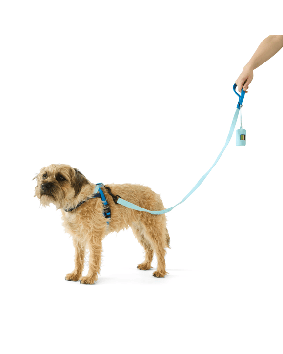 Pet Walking Set - Small, Blue