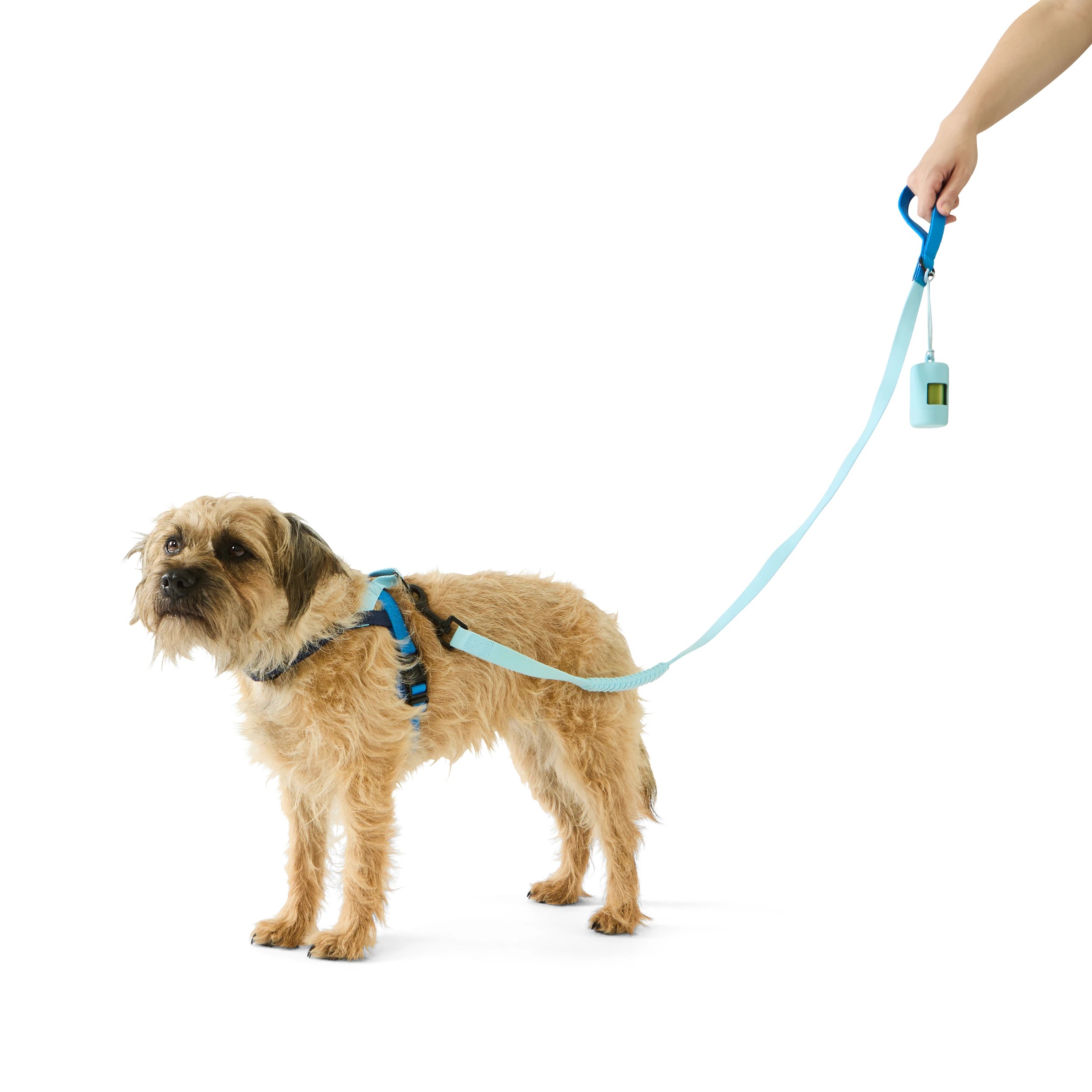 1 Pet Walking Set - Small, Blue, 1 of 5