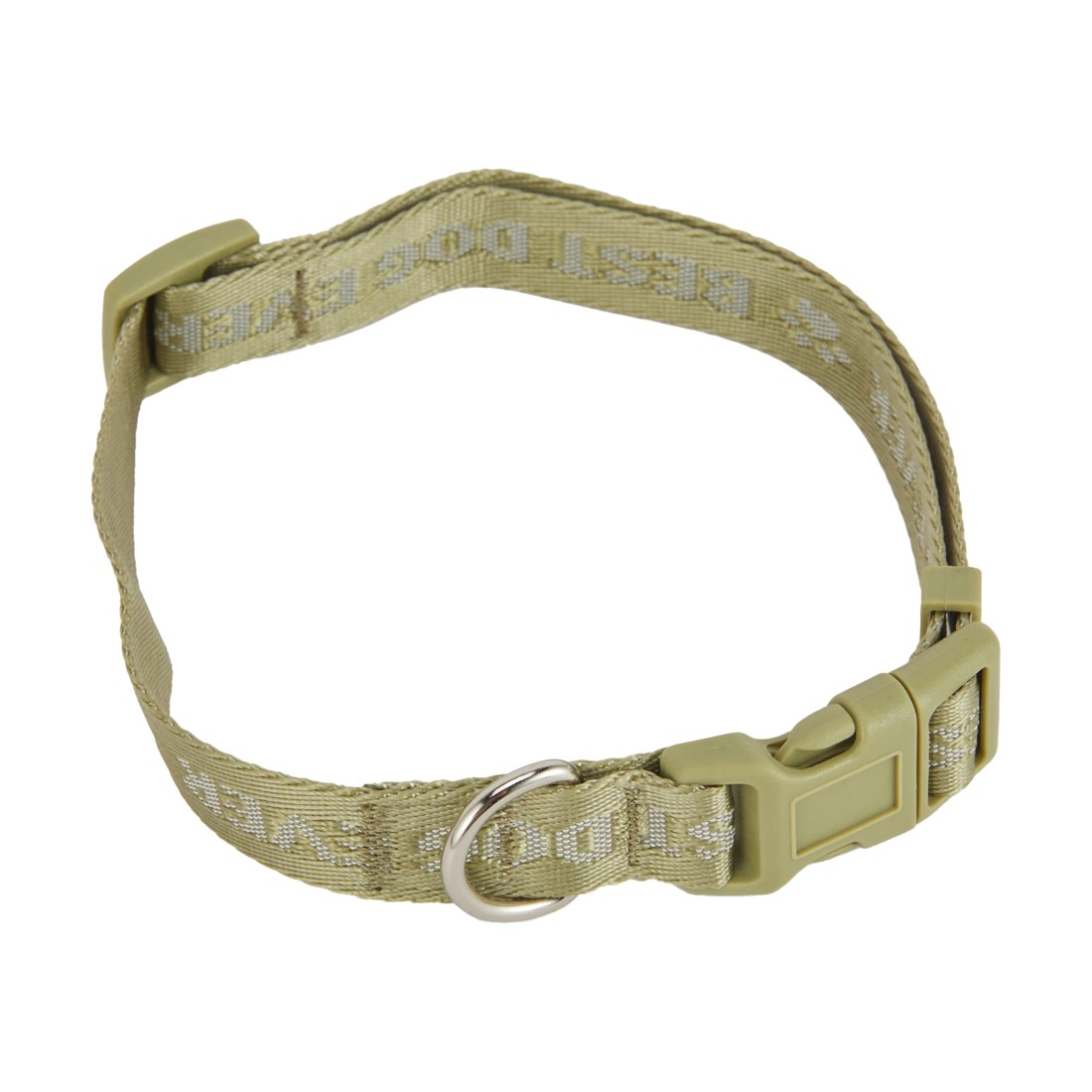 4 Best Dog Ever Collar and Lead Set - Medium, Green, 4 of 5