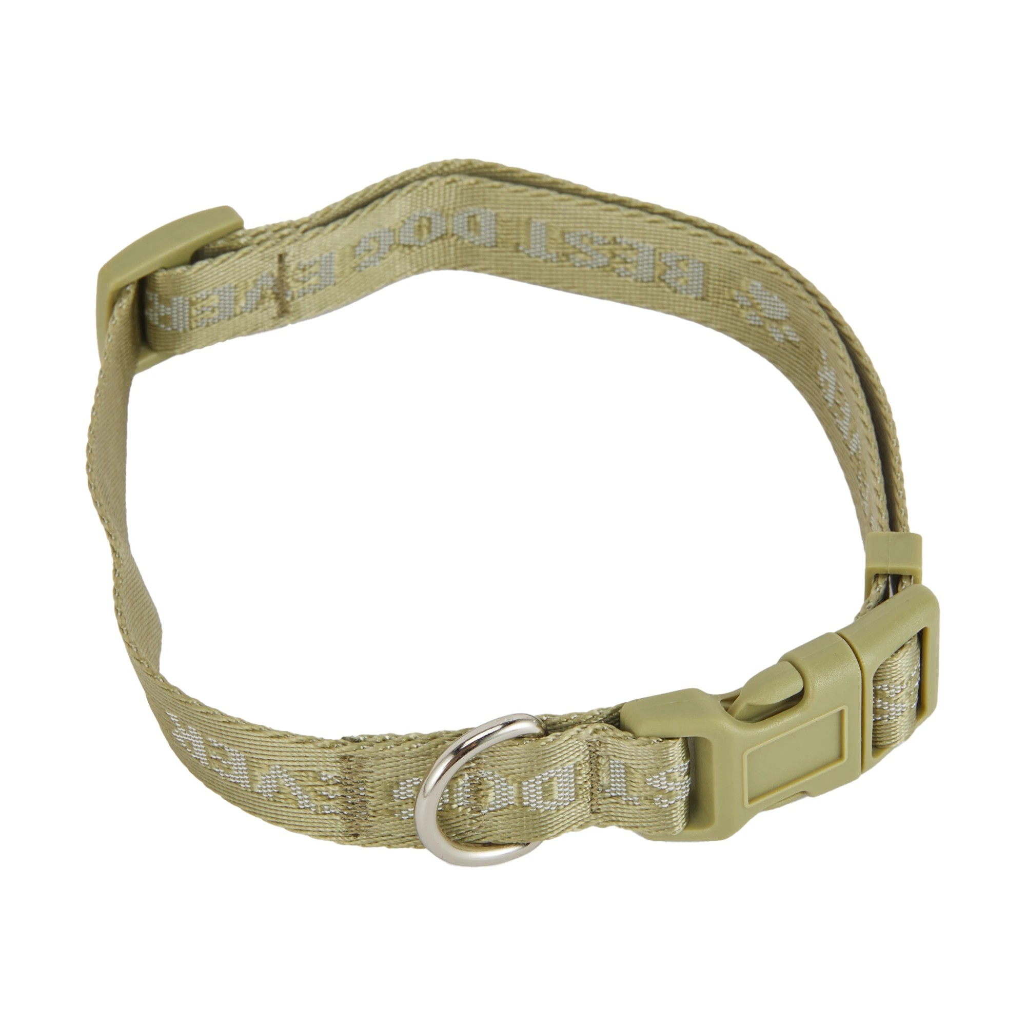 4 Best Dog Ever Collar and Lead Set - Medium, Green, 4 of 5