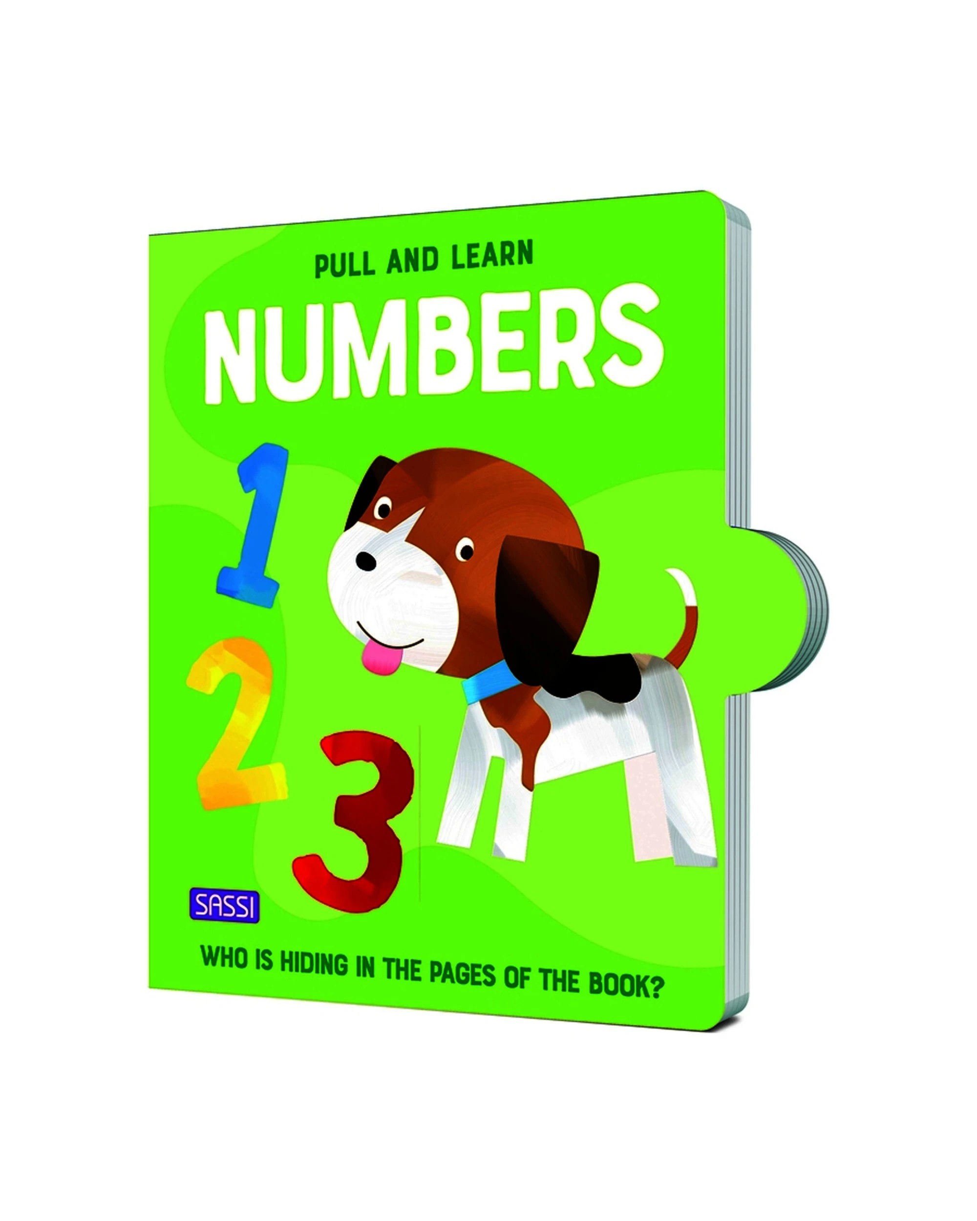 1 Sassi Pull & Play Book Kids Children Reading Learning Numbers - Green, 1 of 3