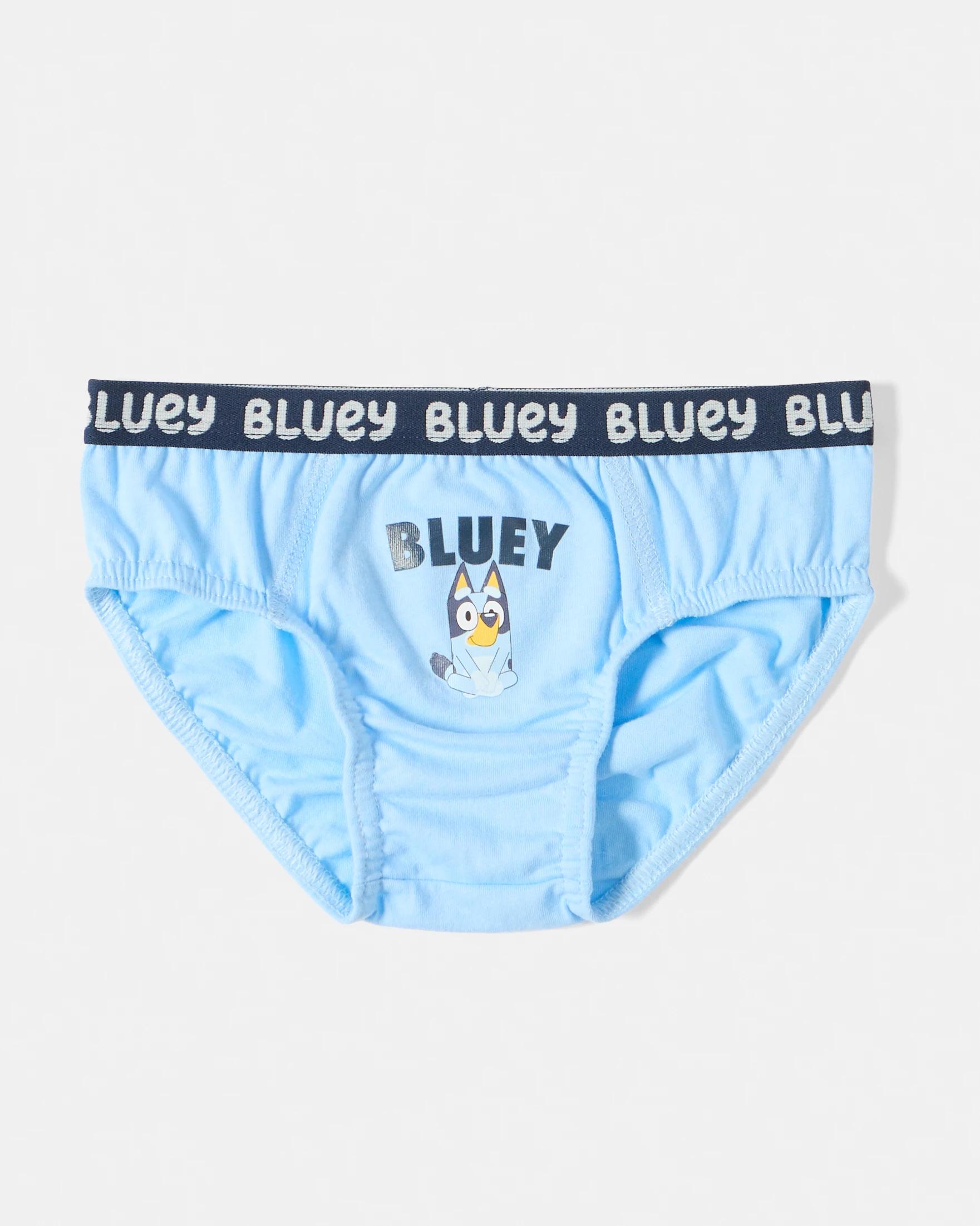 6 4 Pack Bluey License Briefs Bluey, 6 of 7