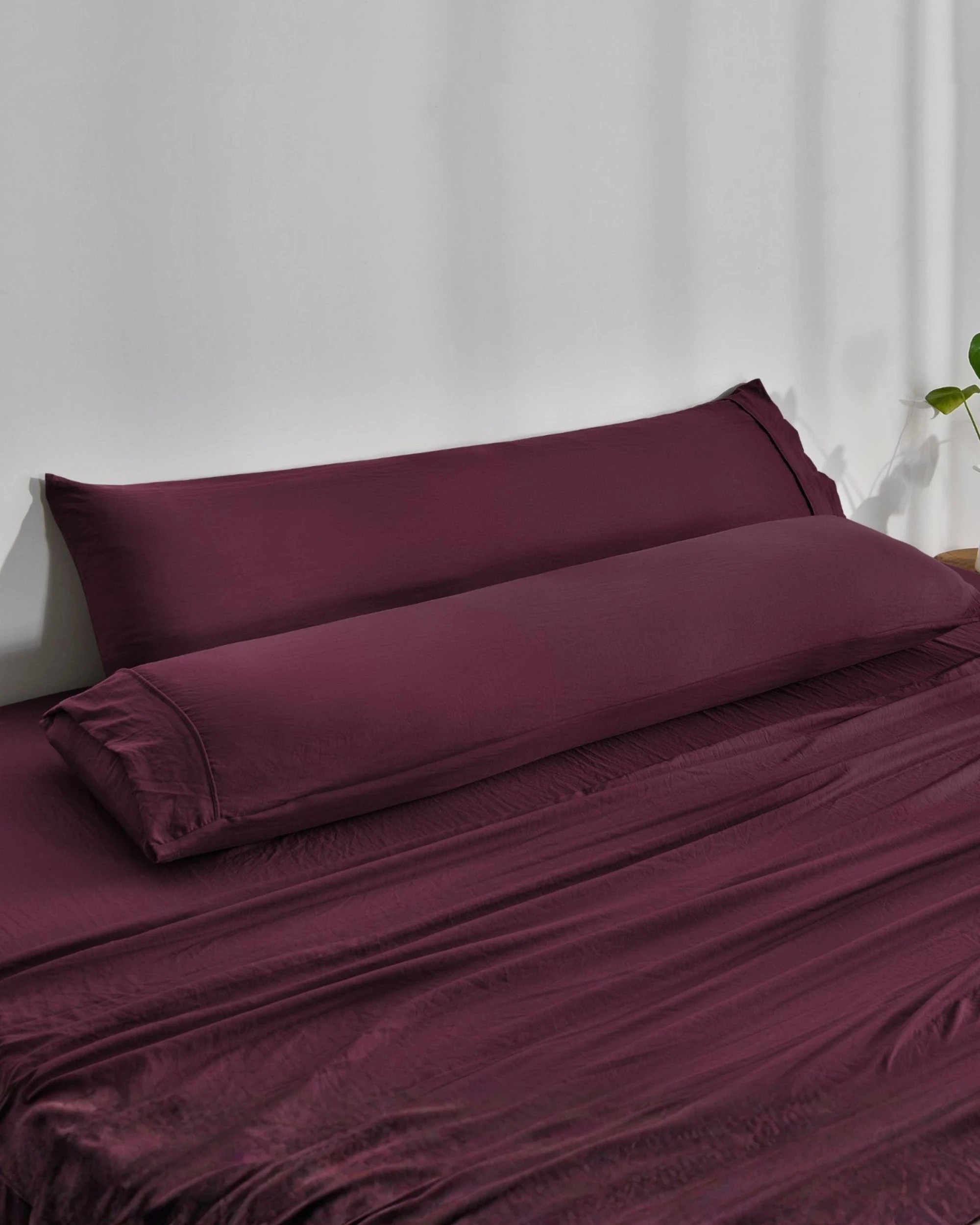 1 Dreamaker Superfine Washed Microfibre Body Pillowcase Twin Pack - Cherry, 1 of 5