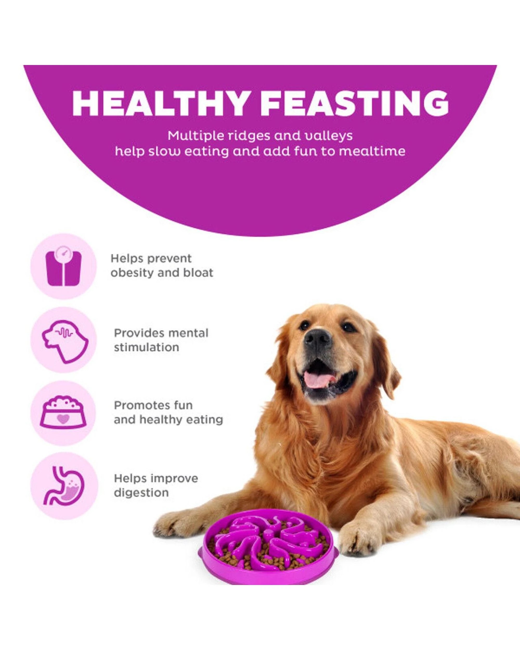 4 Outward Hound Fun Feeder Interactive Slow Bowl Flower for Dogs Purple Large, 4 of 6