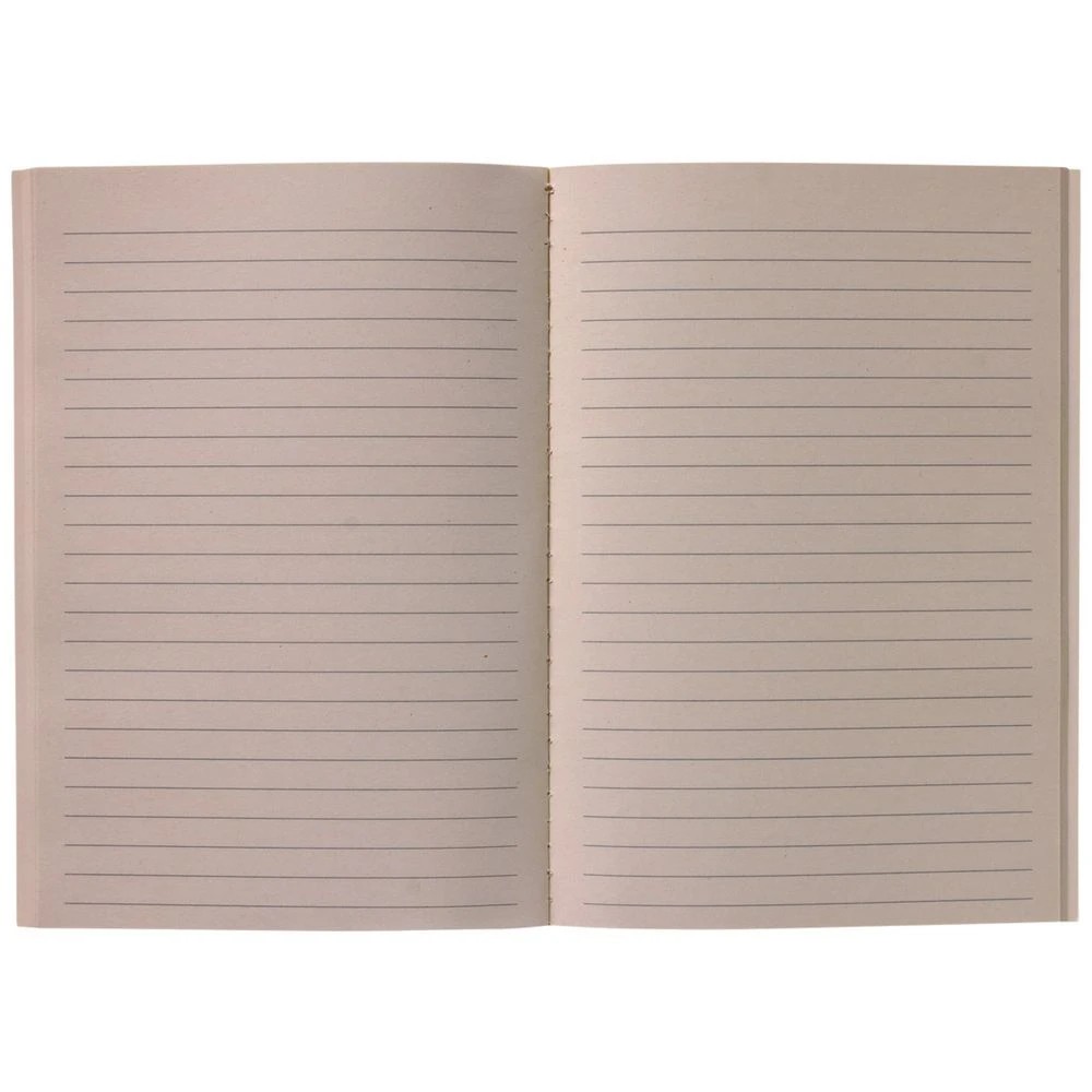 5 Studymate Dino A5 Notebook 64 Pages 3 Pack, 5 of 5