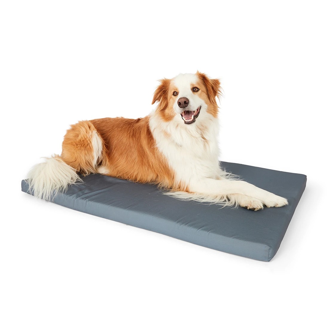 1 Pet Mat Memory Foam - Extra Large, 1 of 8