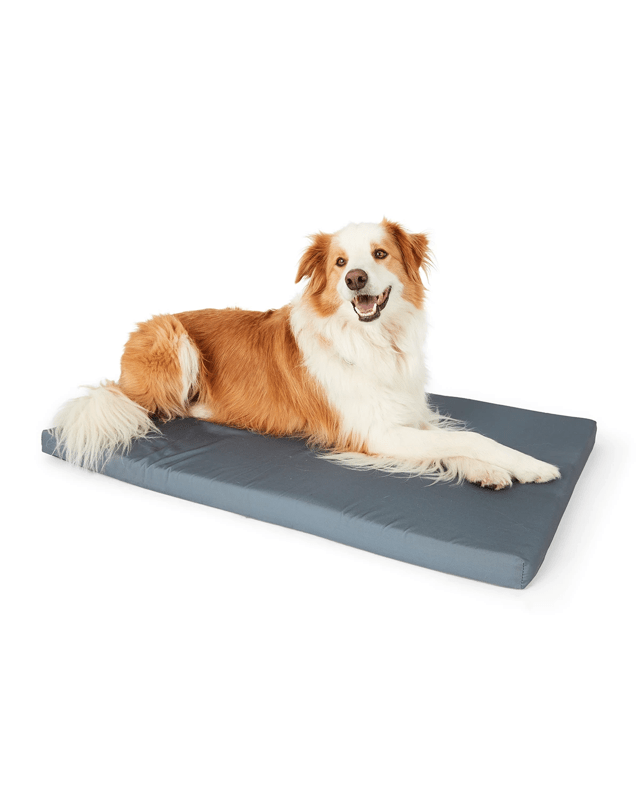 Pet Mat Memory Foam - Extra L