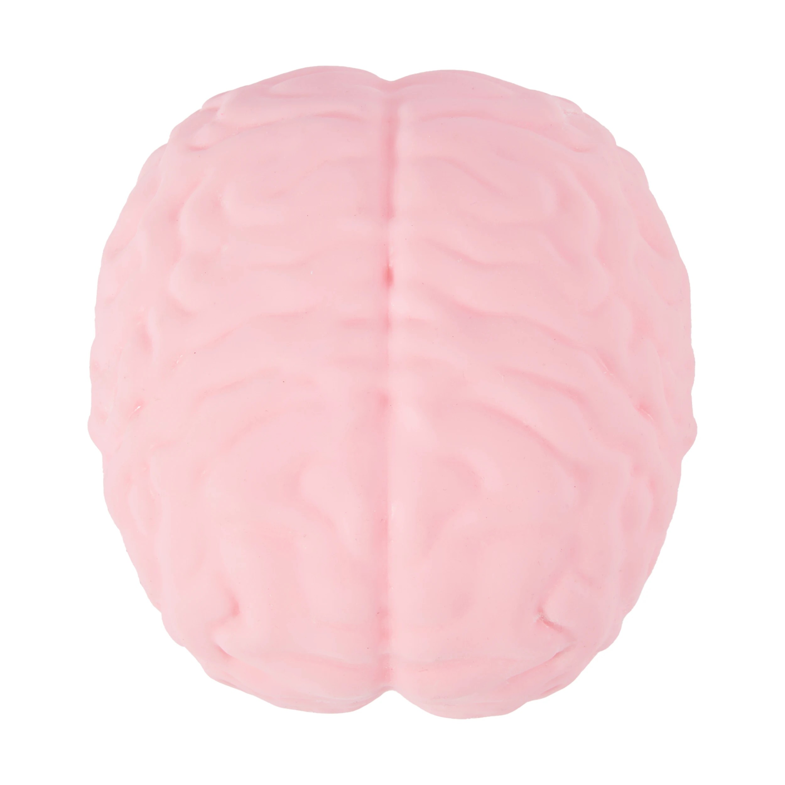 4 Squishy Brain, 4 of 5