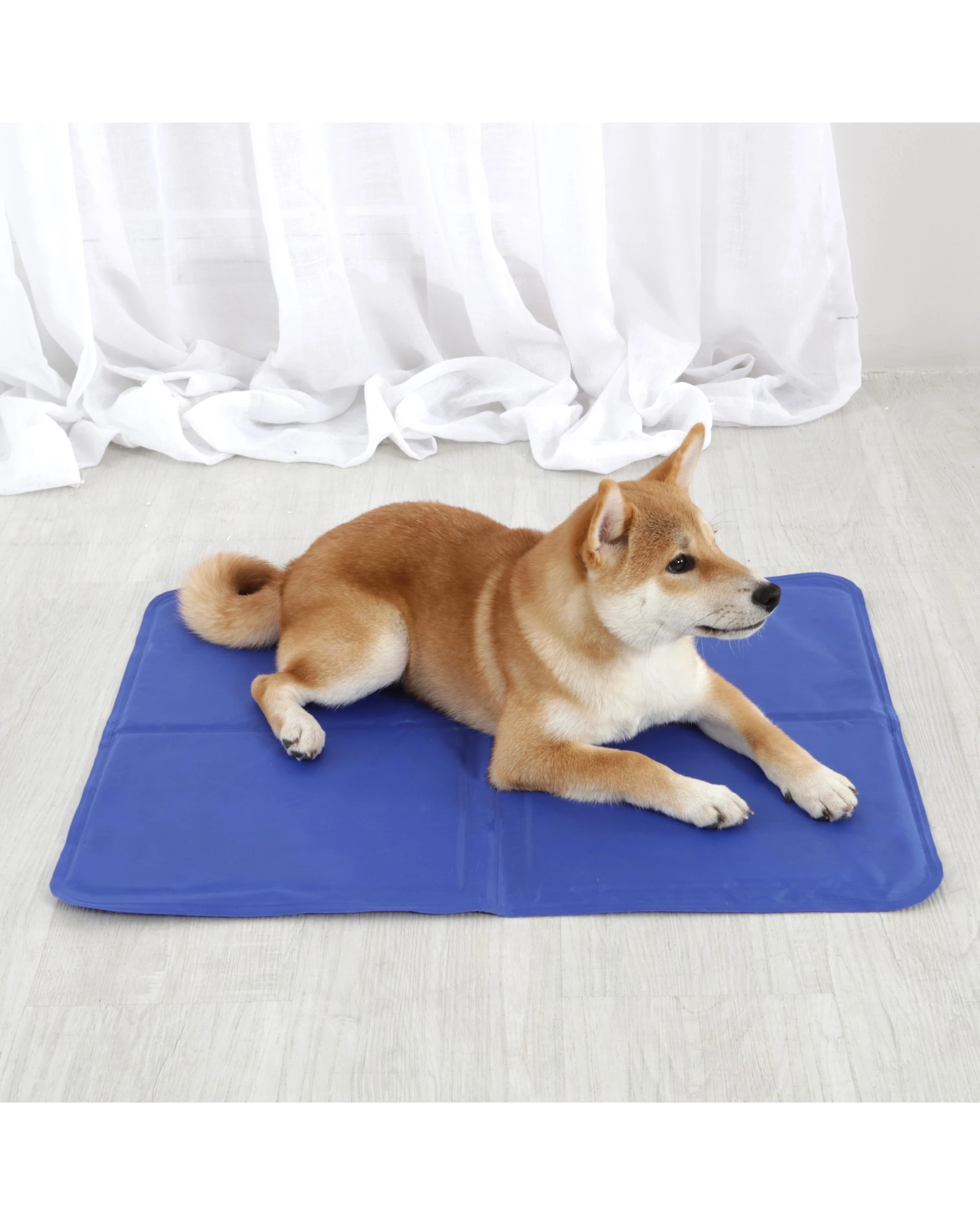 1 Paw Paws Pet Cooling Mat Medium - Blue, 1 of 7
