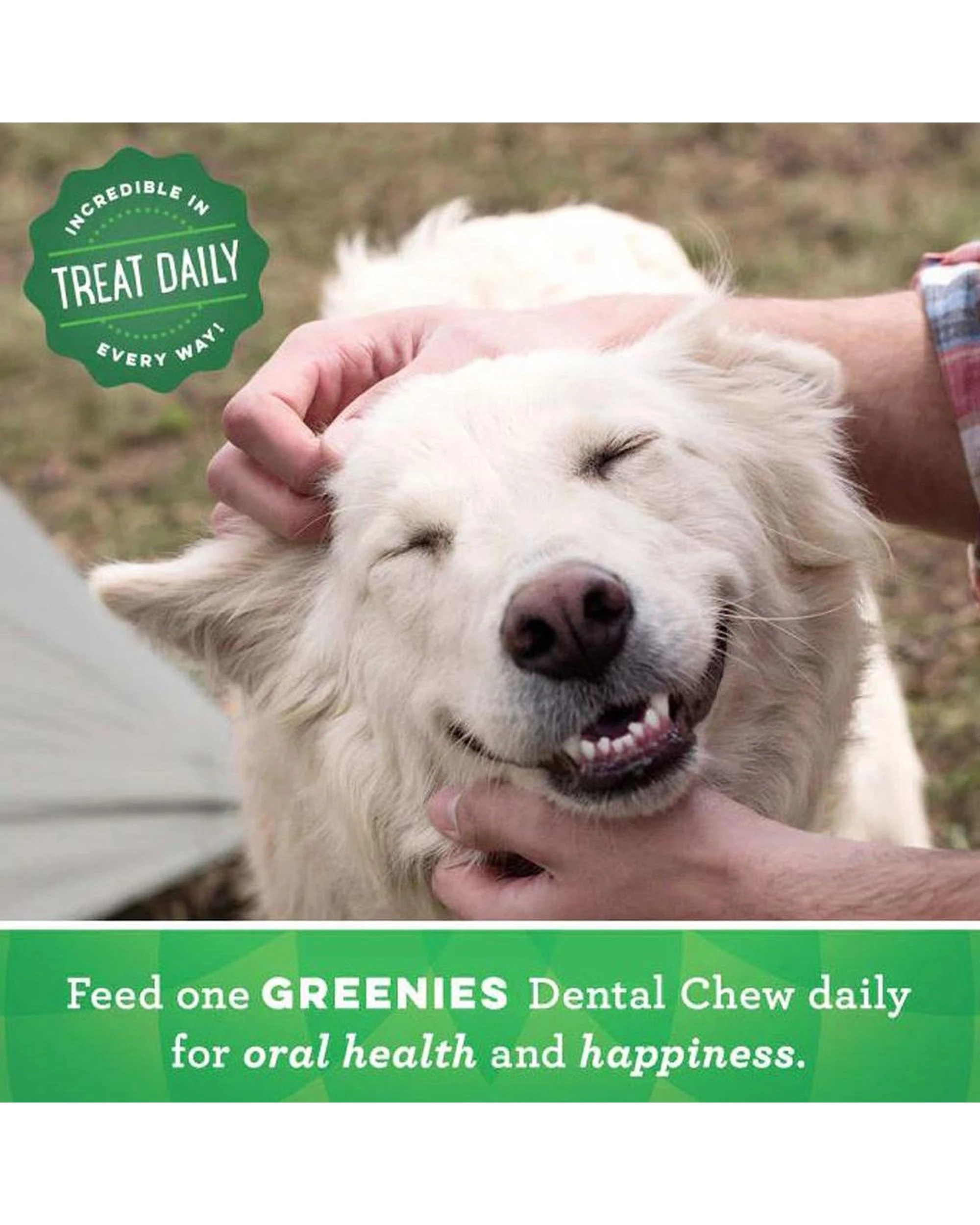 7 Greenies Dental Treats Oral Care Original Regular for Dogs 11-22kg 3 Pack, 7 of 9
