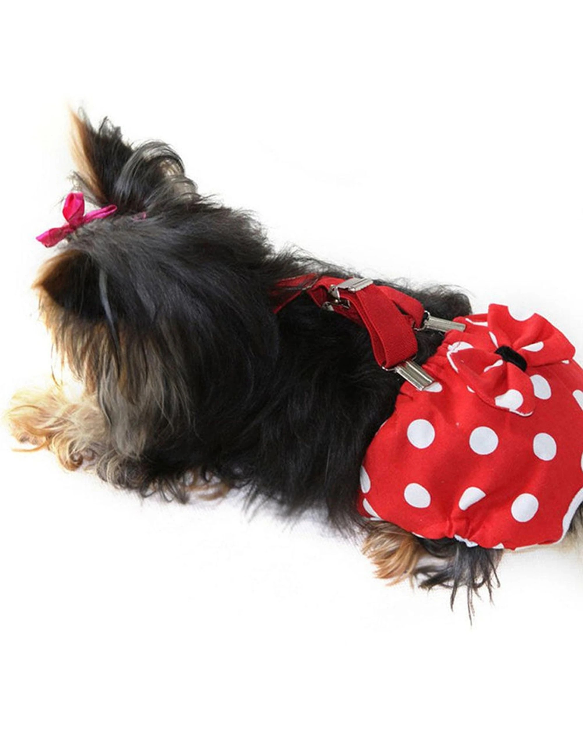 2 Cotton More 2pc Female Dog Reusable Sanitary Underpants Diaper Polka Dots XS - Red, 2 of 9