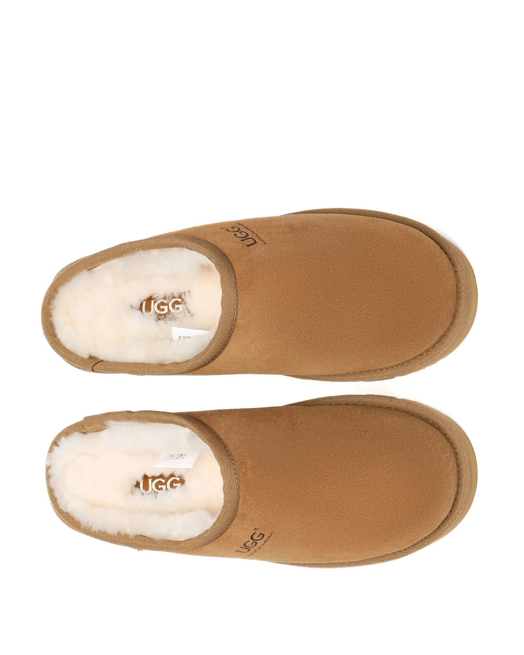 5 Australian Shepherd UGG Unisex Nano Classic Slippers CHESTNUT, 5 of 5