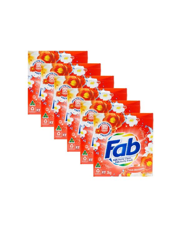 FAB 6PK Fab Laundry Powder Front and Top Loader Fresh Blossoms 2kg Bulk Pack - Multi