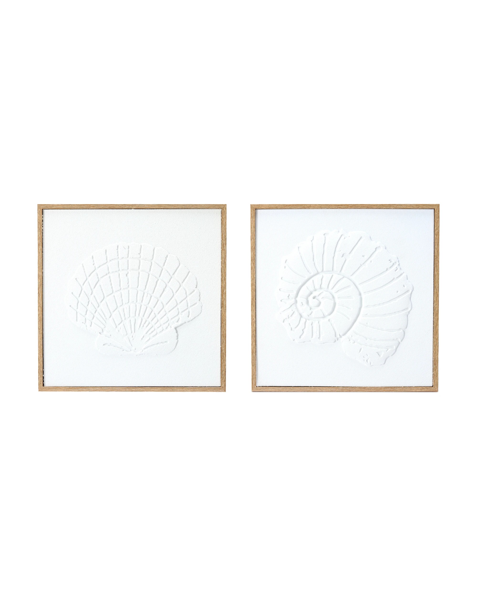 1 2 Pack Shell Framed Canvas - 40cm x 40cm, 1 of 5