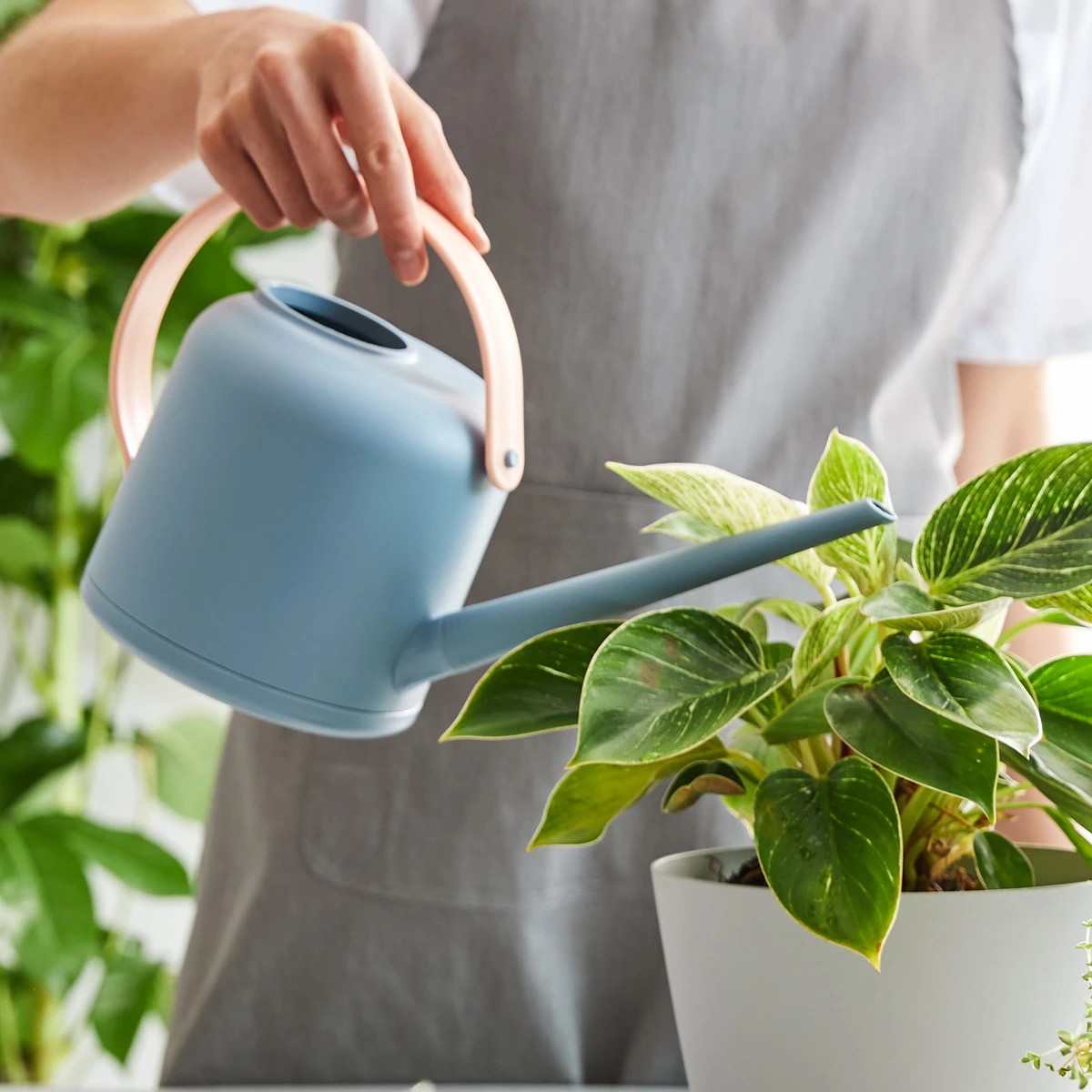 6 Plastic Watering Can, 6 of 6
