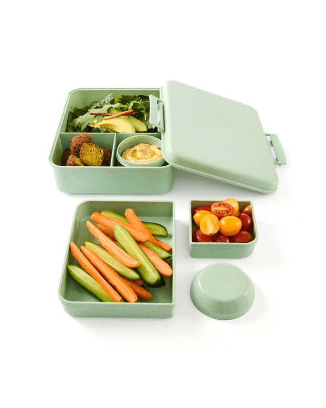 Sage Wheat Straw Bento Snack