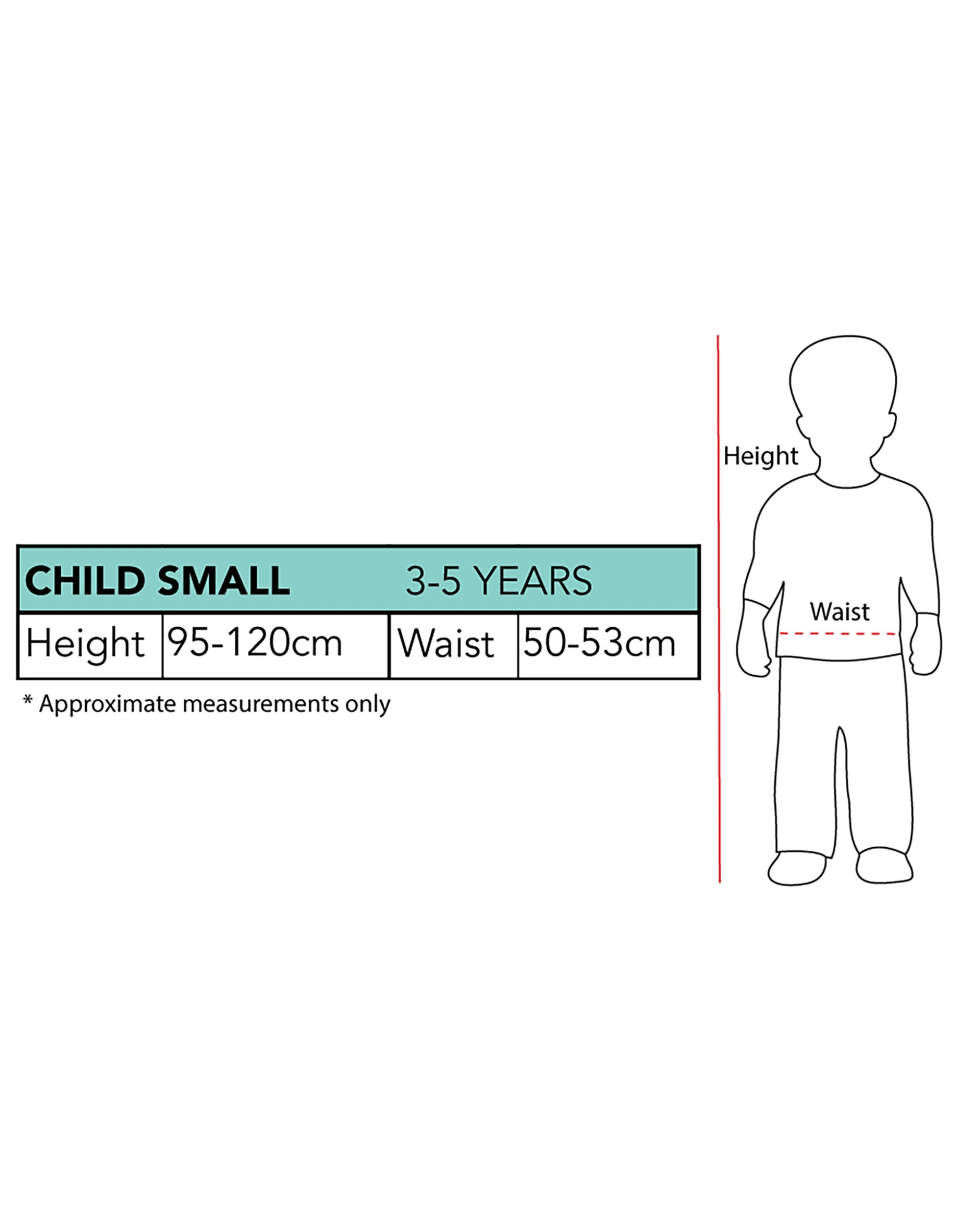 4 The Wiggles The Wiggles Captain Feathersword Deluxe Kids Costume 3-5 Years - 3-5 Years, 4 of 4