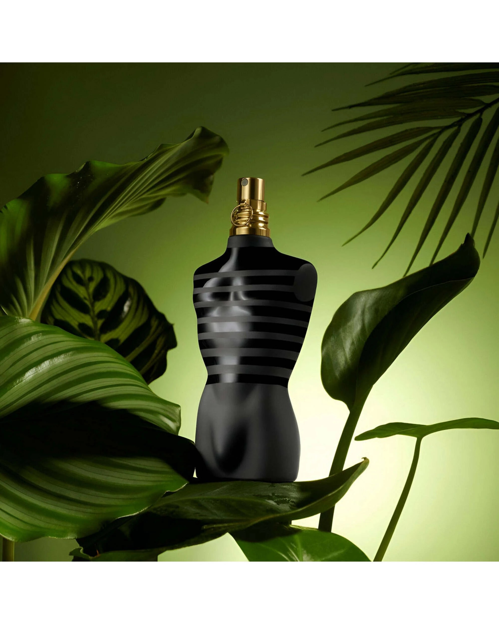 3 Jean Paul Gaultier Le Male Le Parfum 125ml Eau De Parfum, 3 of 4