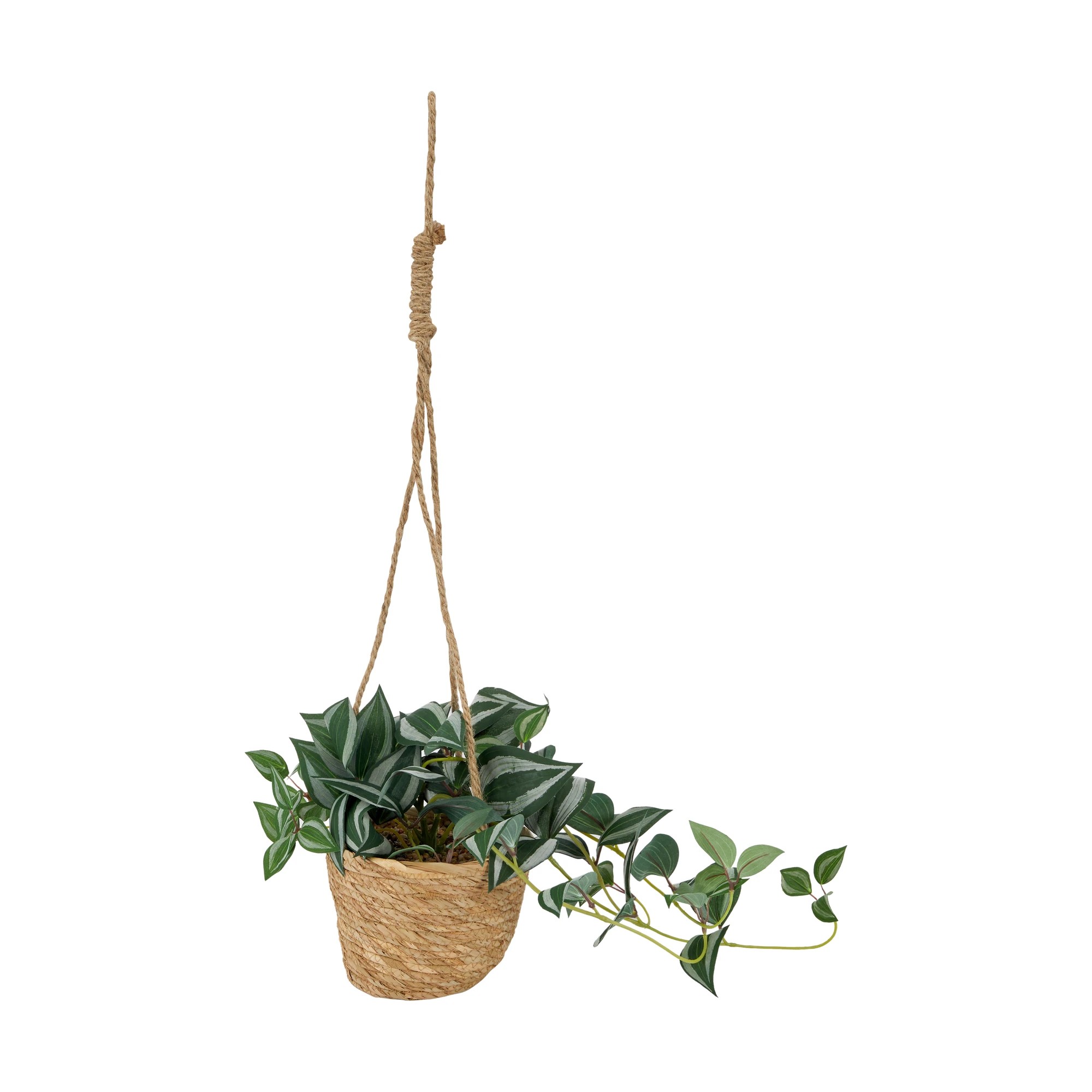 2 Artificial Zebrina in Hanging Pot, 2 of 5