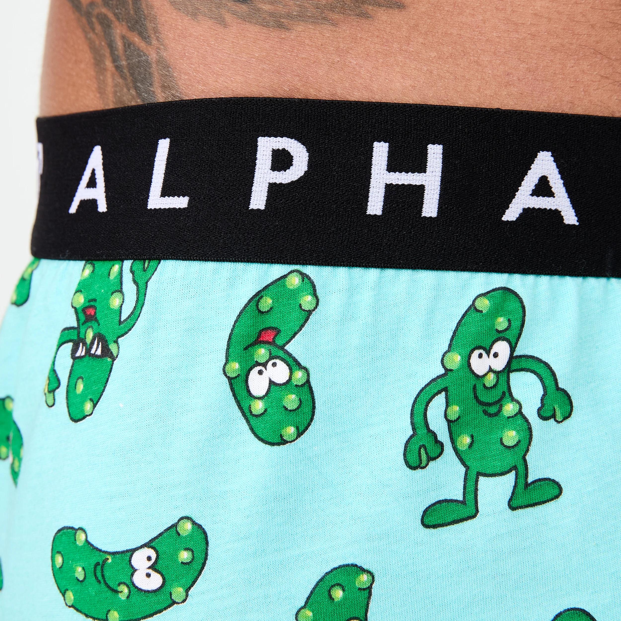 4 Printed Jersey Boxers BIG DILL, 4 of 5