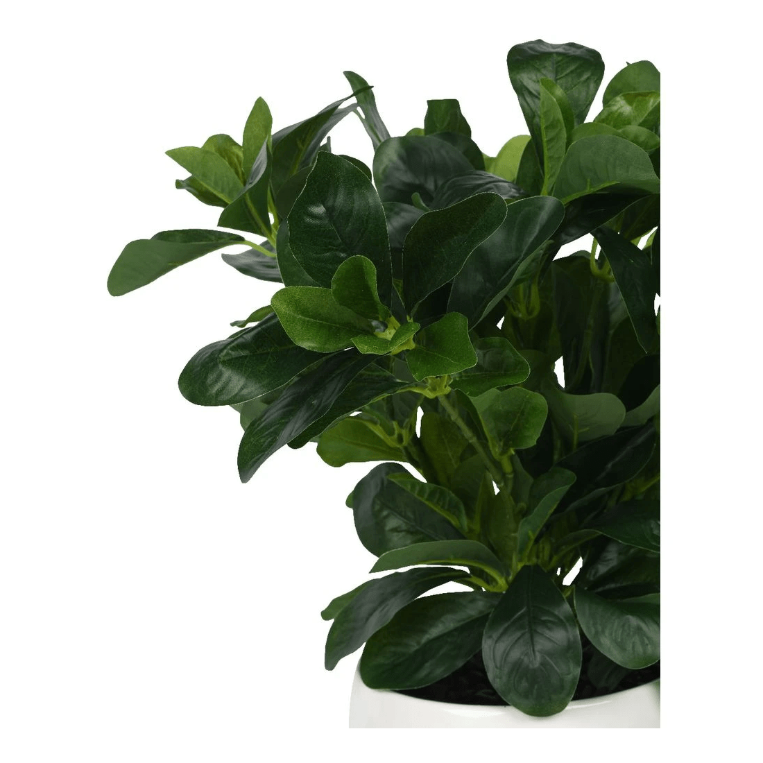 2 Otto Round White Glazed Pot with Plant, 2 of 3