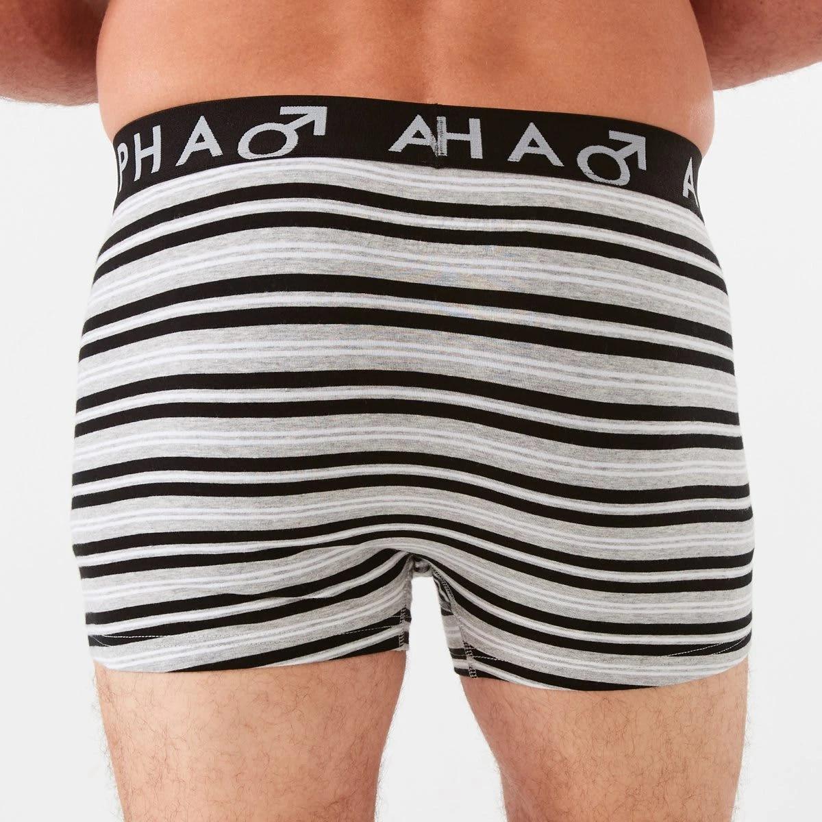 6 3 Pack Fly Front Stripe Trunks SPEEDSTER STRIPE, 6 of 8
